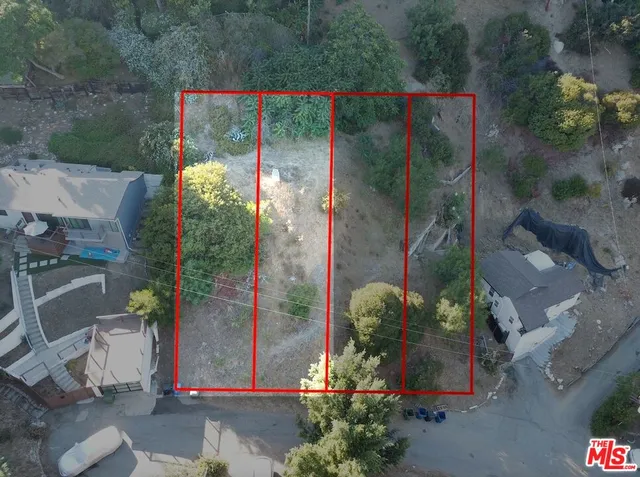 a view of a potted plants next to a road