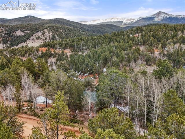 580 Timber Ridge Road Divide, CO 80814 - Photo 25 of 29