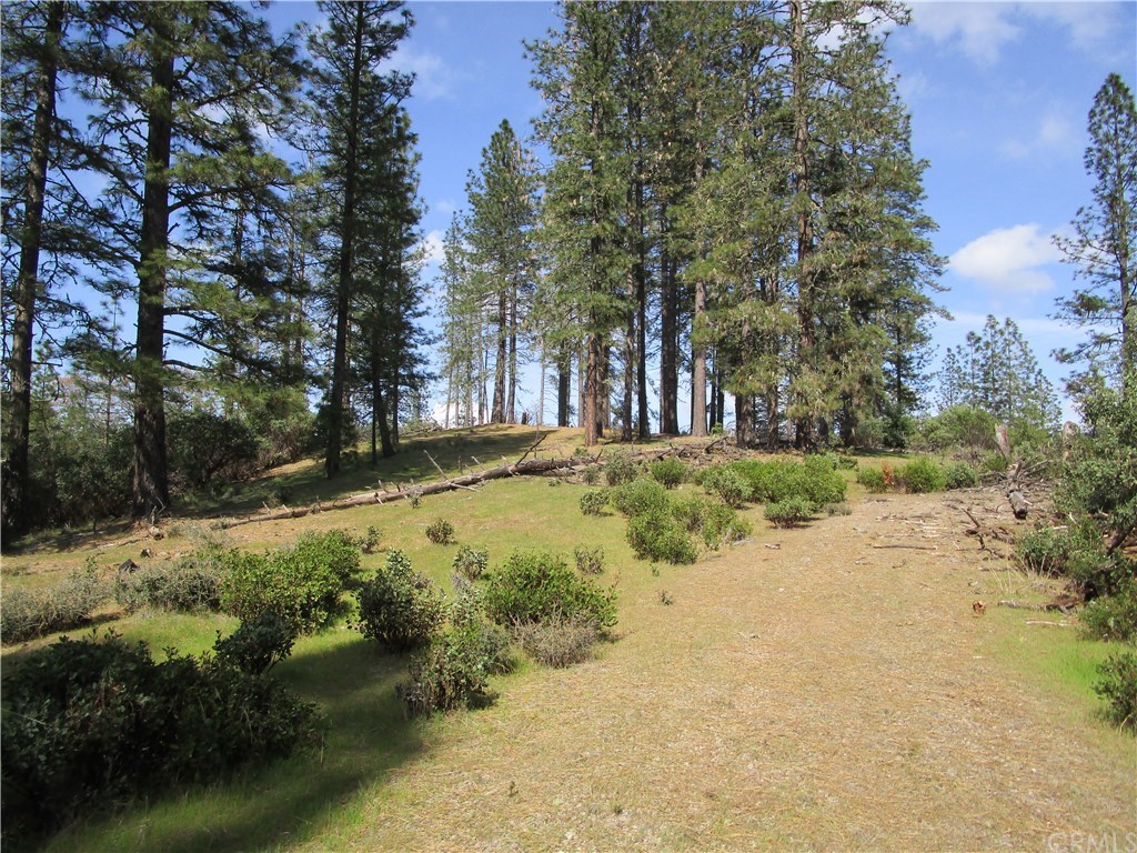 4980 Bartlett Springs Road Nice, CA 95464 - Photo 1 of 1 Gallery Image 1