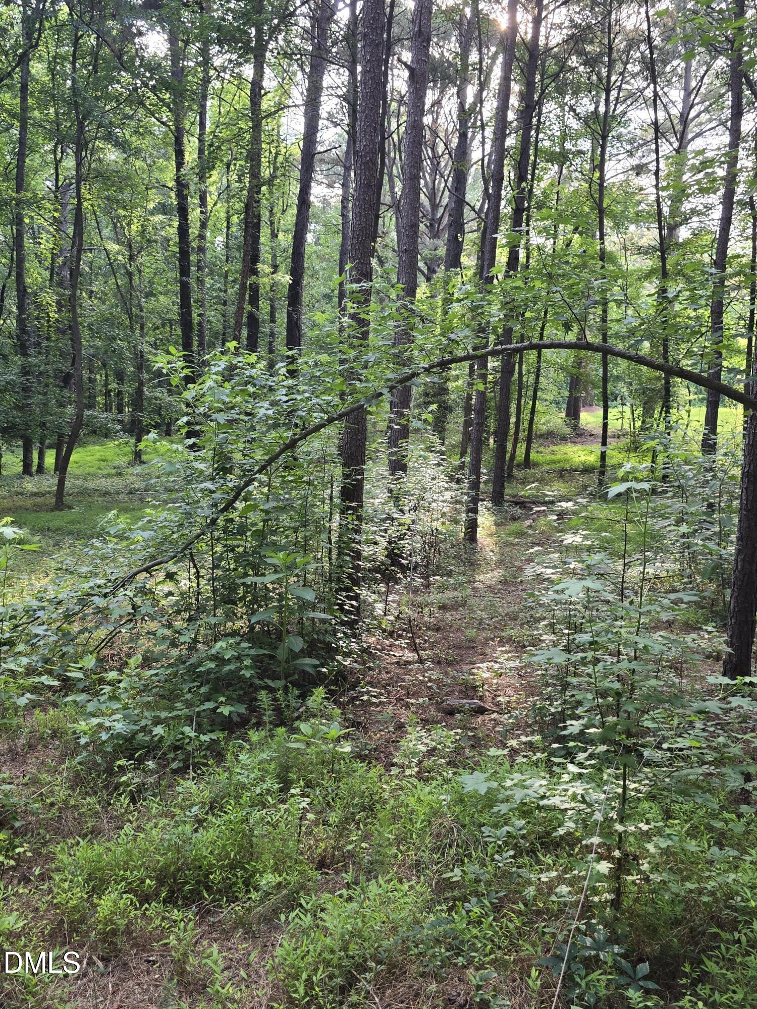 0 Honeycutt Road Willow Spring, NC 27592 - Photo 4 of 18 20260531_182925