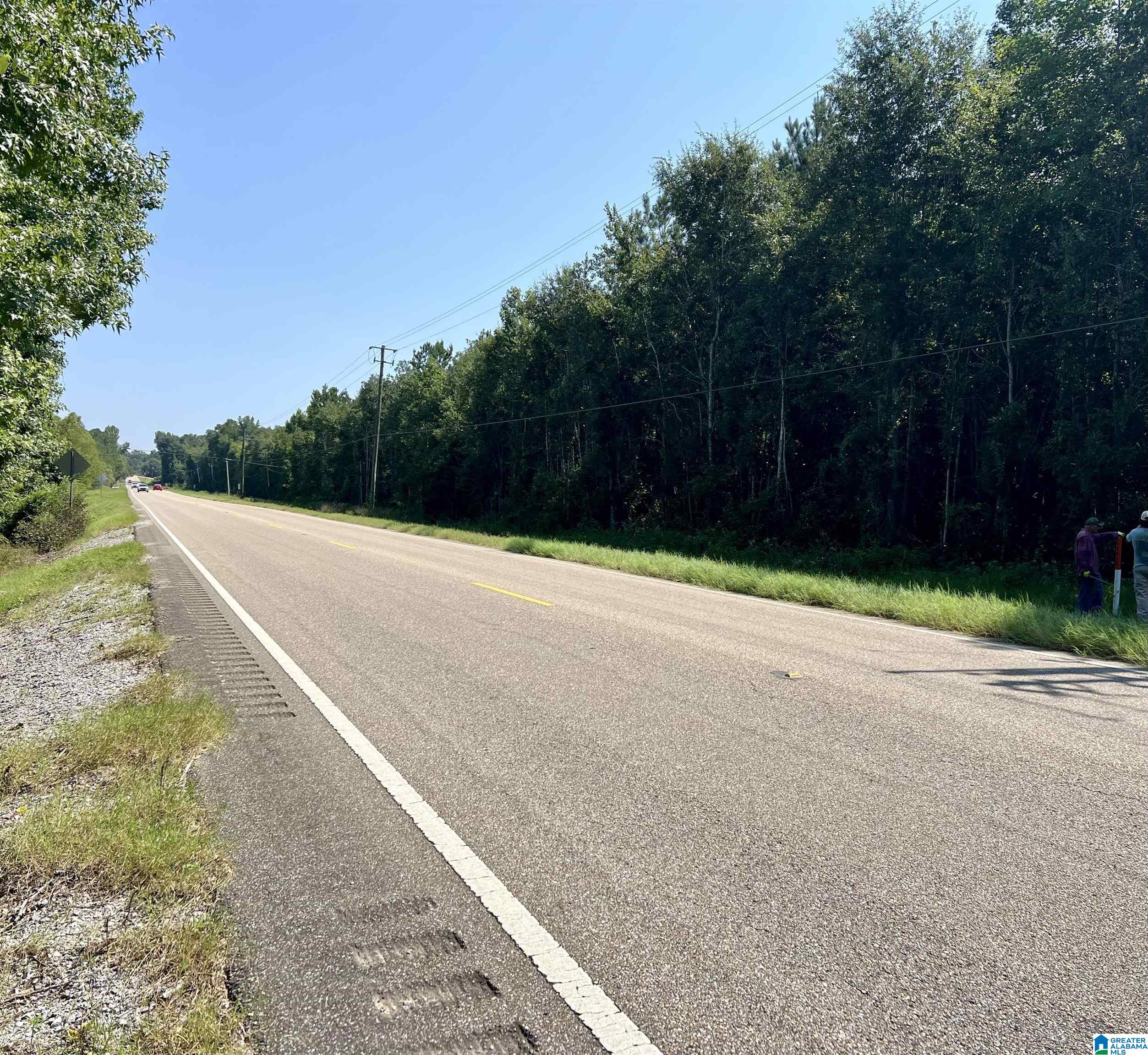 4440 Highway 22 Stanton, AL 36790 - Photo 7 of 7