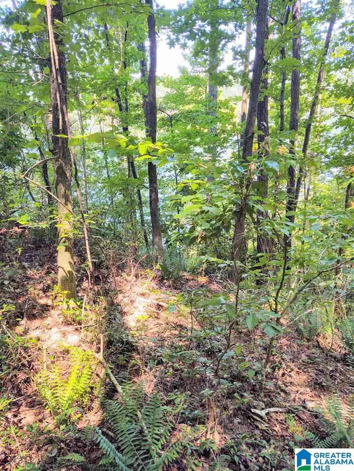 440 Riverview Road, Unit 1 Adger, AL 35006 - Photo 2 of 6