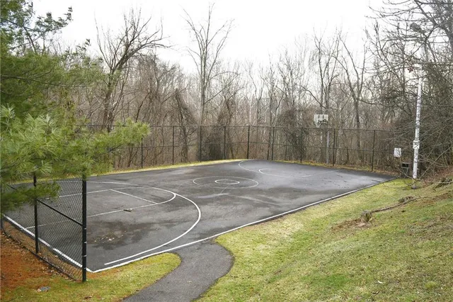 a view of a backyard