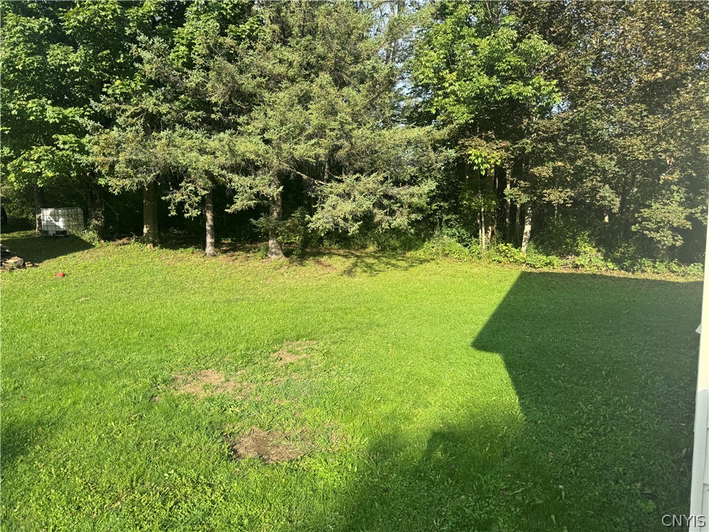 257 Burt Road Herkimer, NY 13350 - Photo 10 of 29 Gallery Image 10