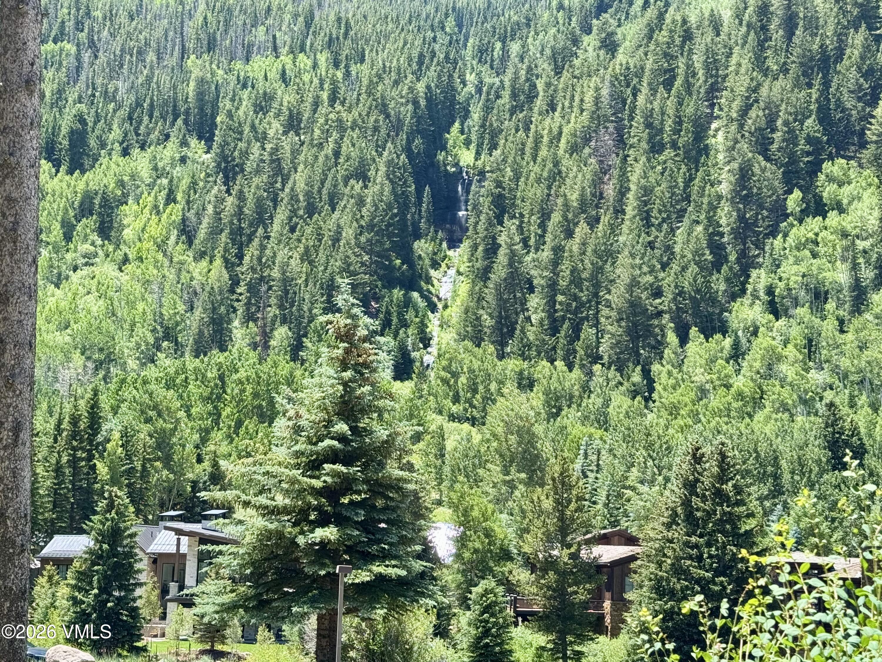 3921 Big Horn Road, Unit 3B Vail, CO 81657 - Photo 13 of 16 a view of a garden