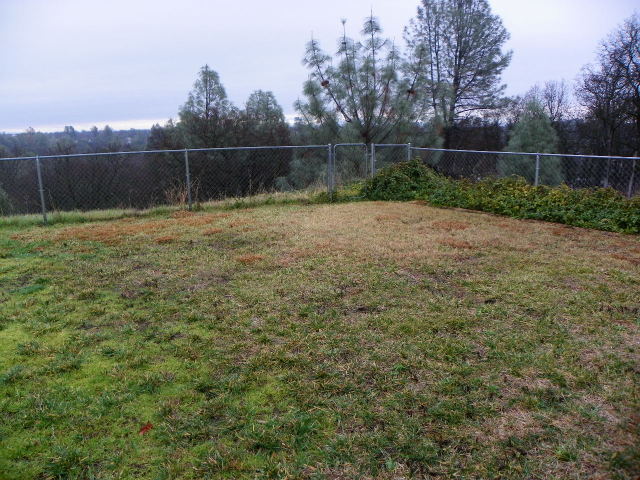 710 Mallard Street Redding, CA 96003 - Photo 15 of 19 a backyard of a house