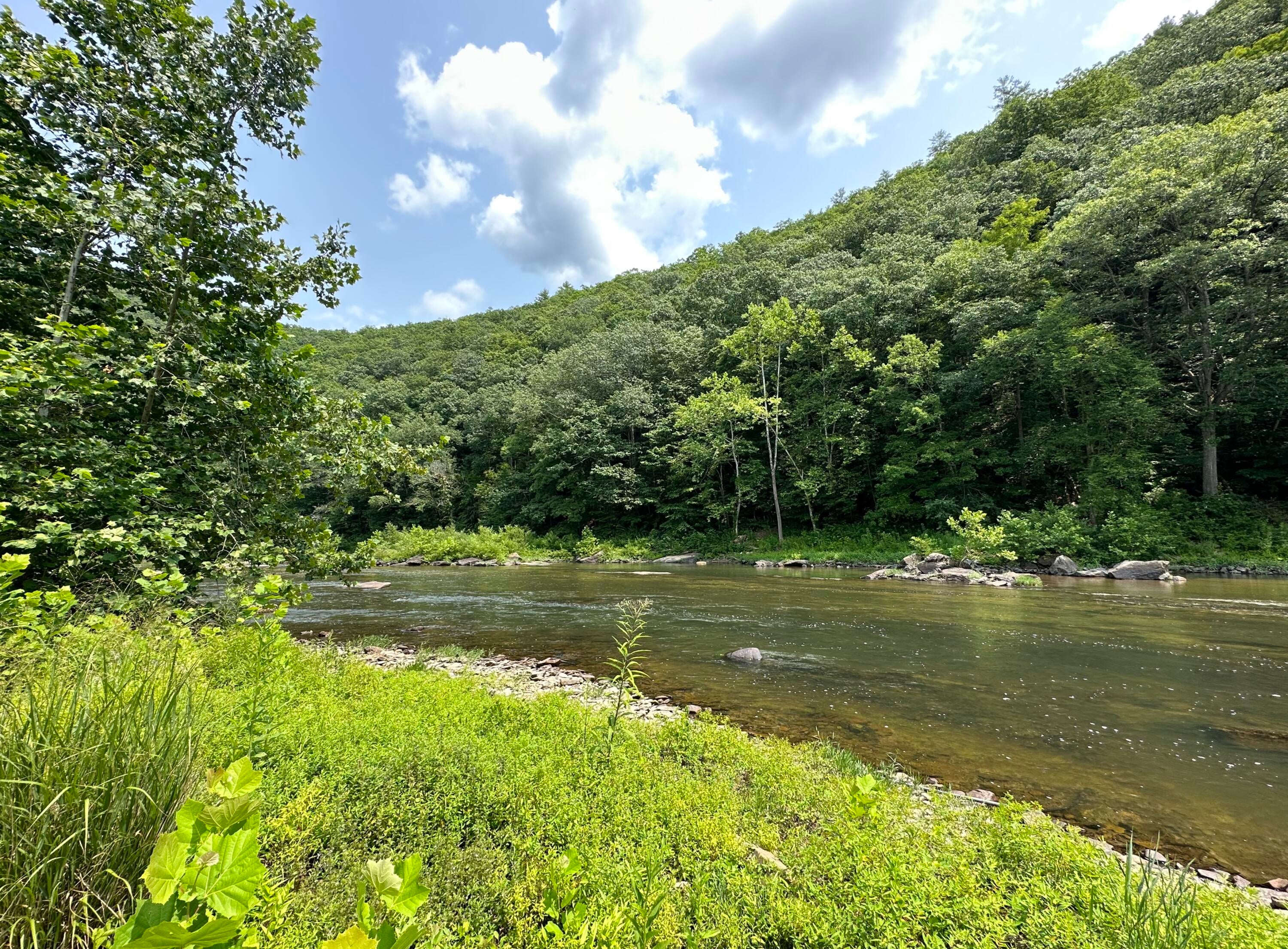 3981 Coleman Cliff Road Frankford, WV 24938 - Photo 3 of 66 3981 Coleman Cliff Rd