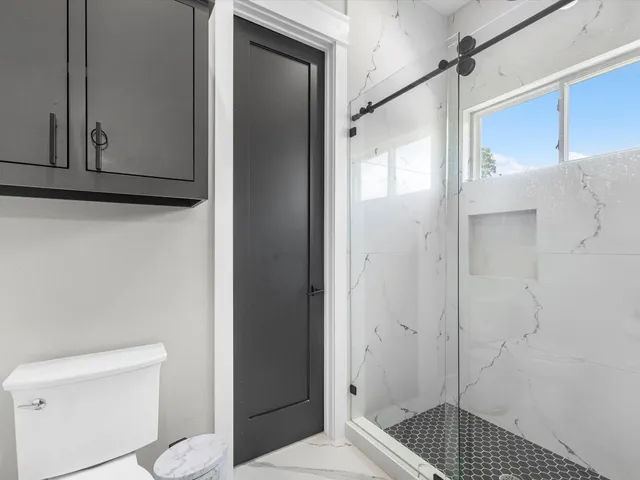 a bathroom with a shower and toilet