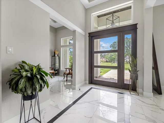 a potted plant sitting in front of a window