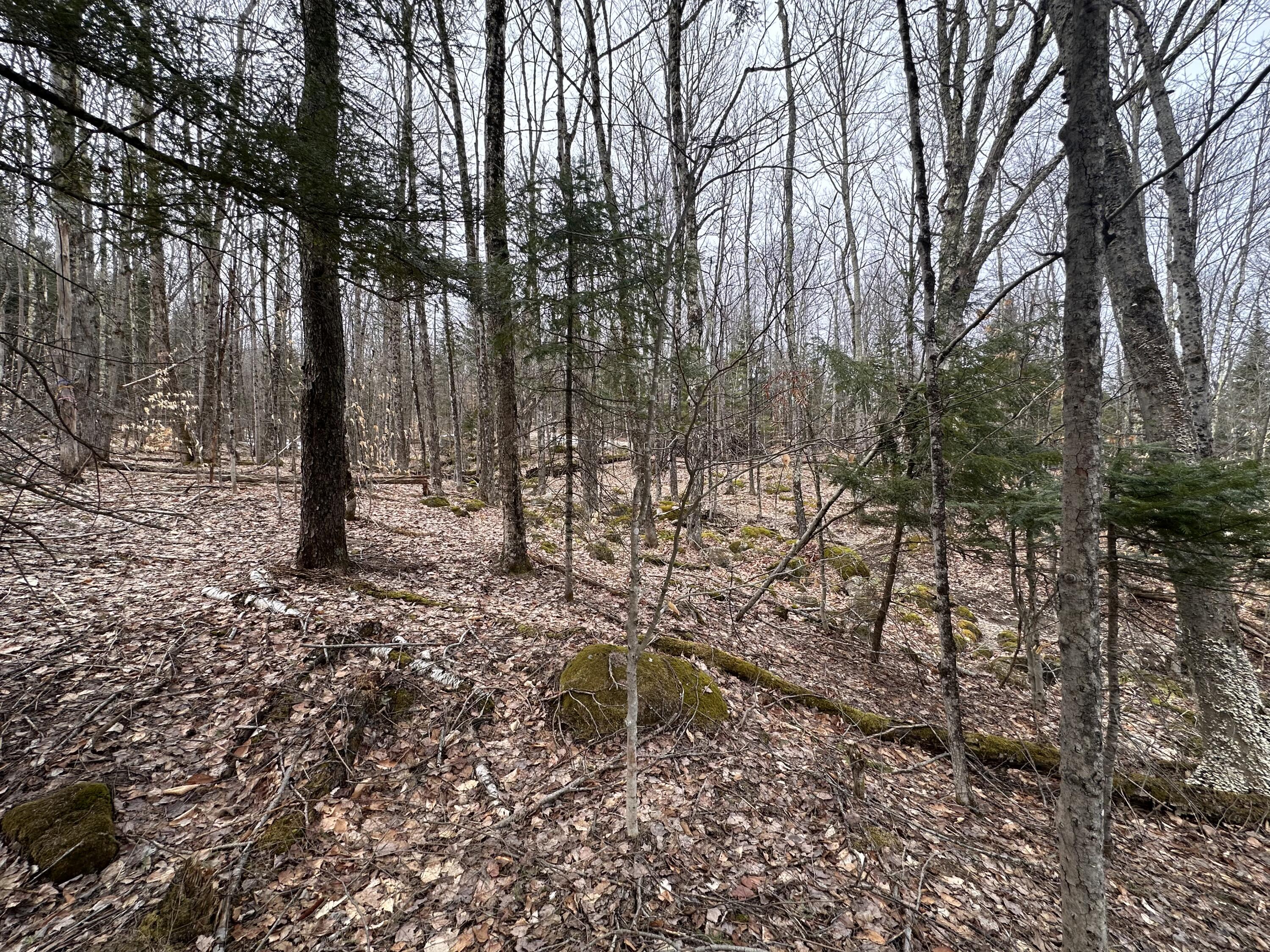 0 Johnson Road Malone, NY 12953 - Photo 7 of 29