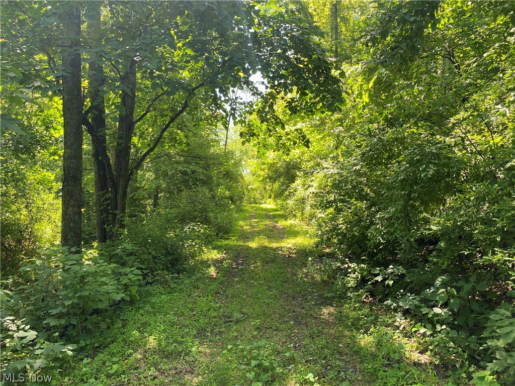 Ashton Hill Road Caldwell, OH 43724 - Photo 26 of 26