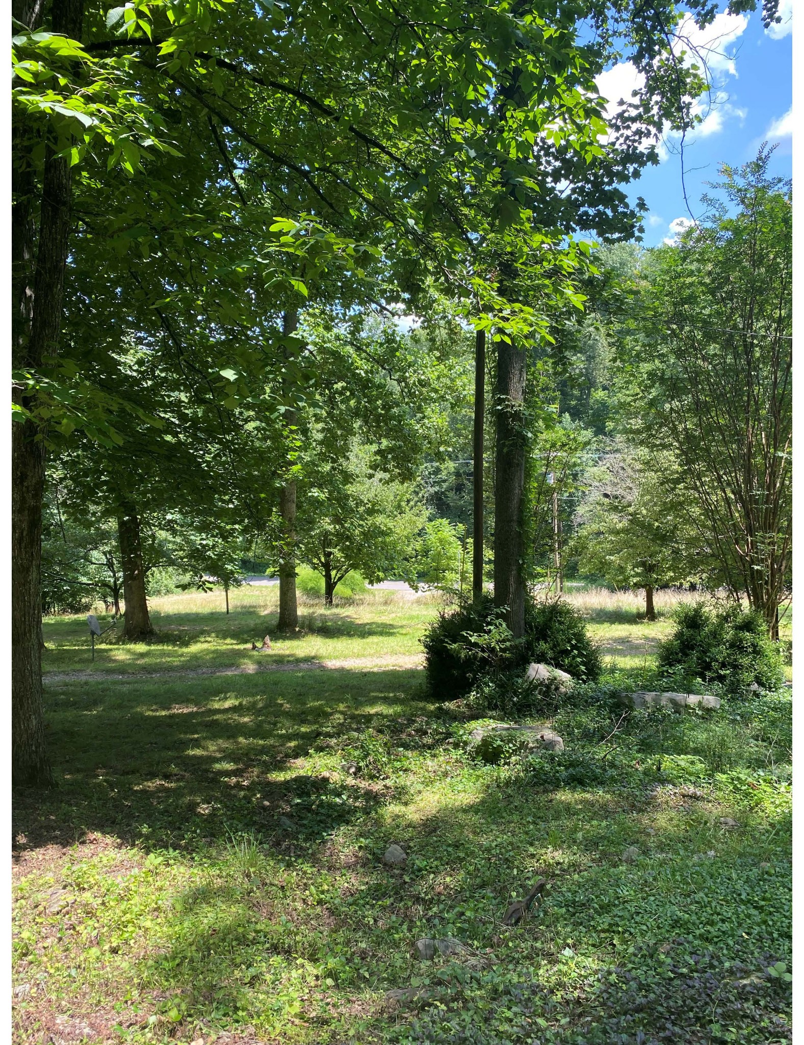 110 Robertson Hollow Road Taft, TN 38488 - Photo 8 of 9 Gallery Image 8