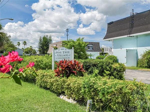 a view of a flower in a garden