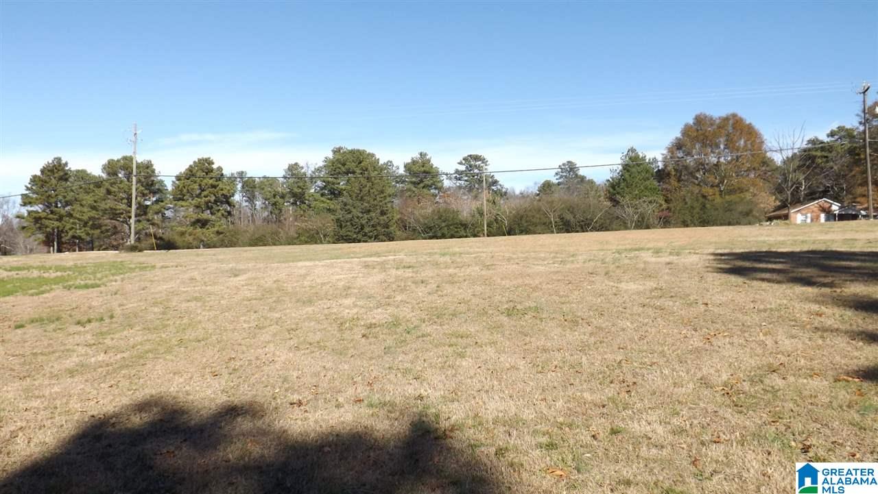 46785 Highway 231 Oneonta, AL 35121 - Photo 40 of 49