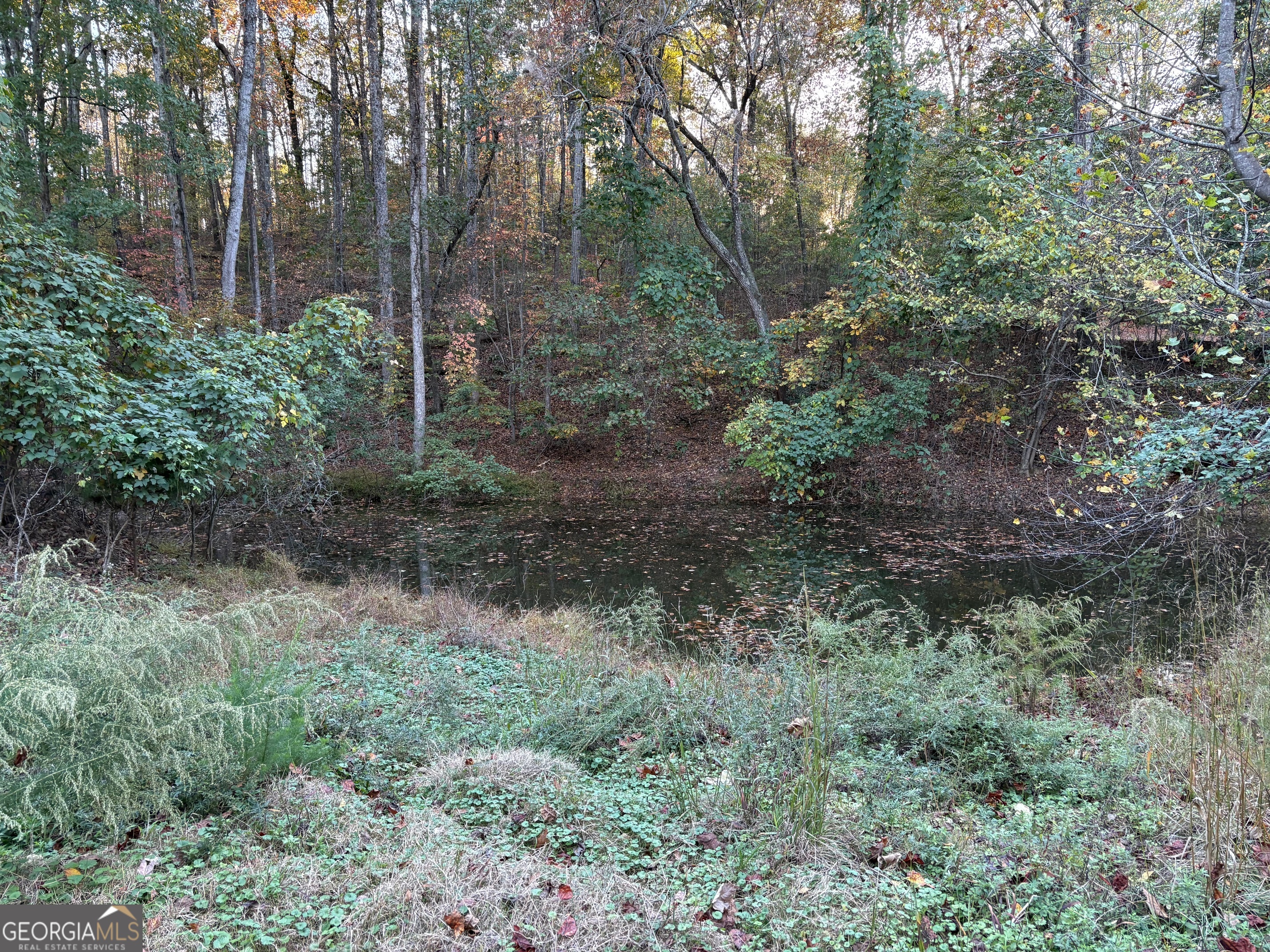 4920 Cagle Mill Road Lula, GA 30554 - Photo 2 of 10 a view of a forest with trees in the background