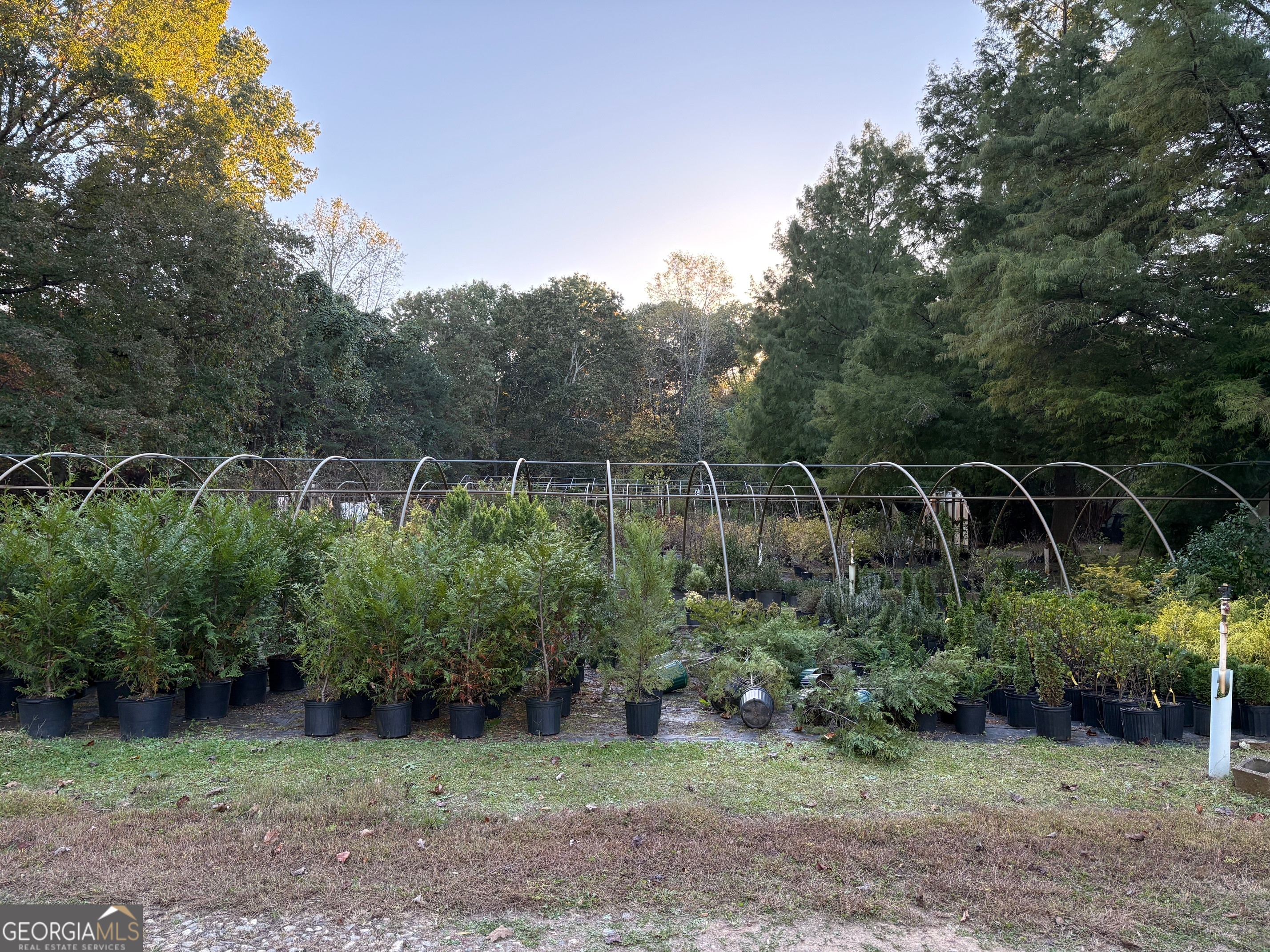 4920 Cagle Mill Road Lula, GA 30554 - Photo 3 of 10 a view of a backyard