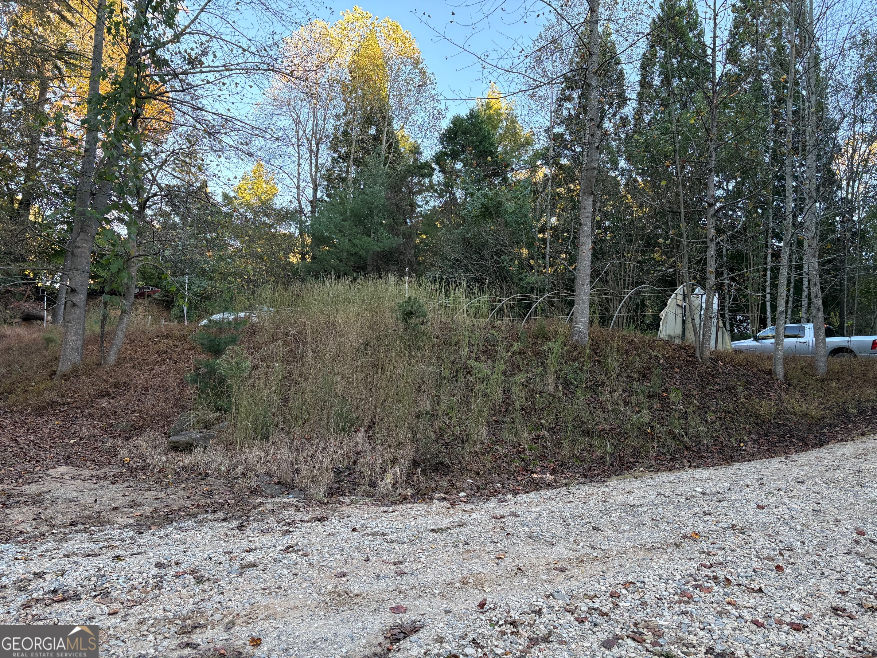 4920 Cagle Mill Road Lula, GA 30554 - Photo 5 of 10 a view of a yard