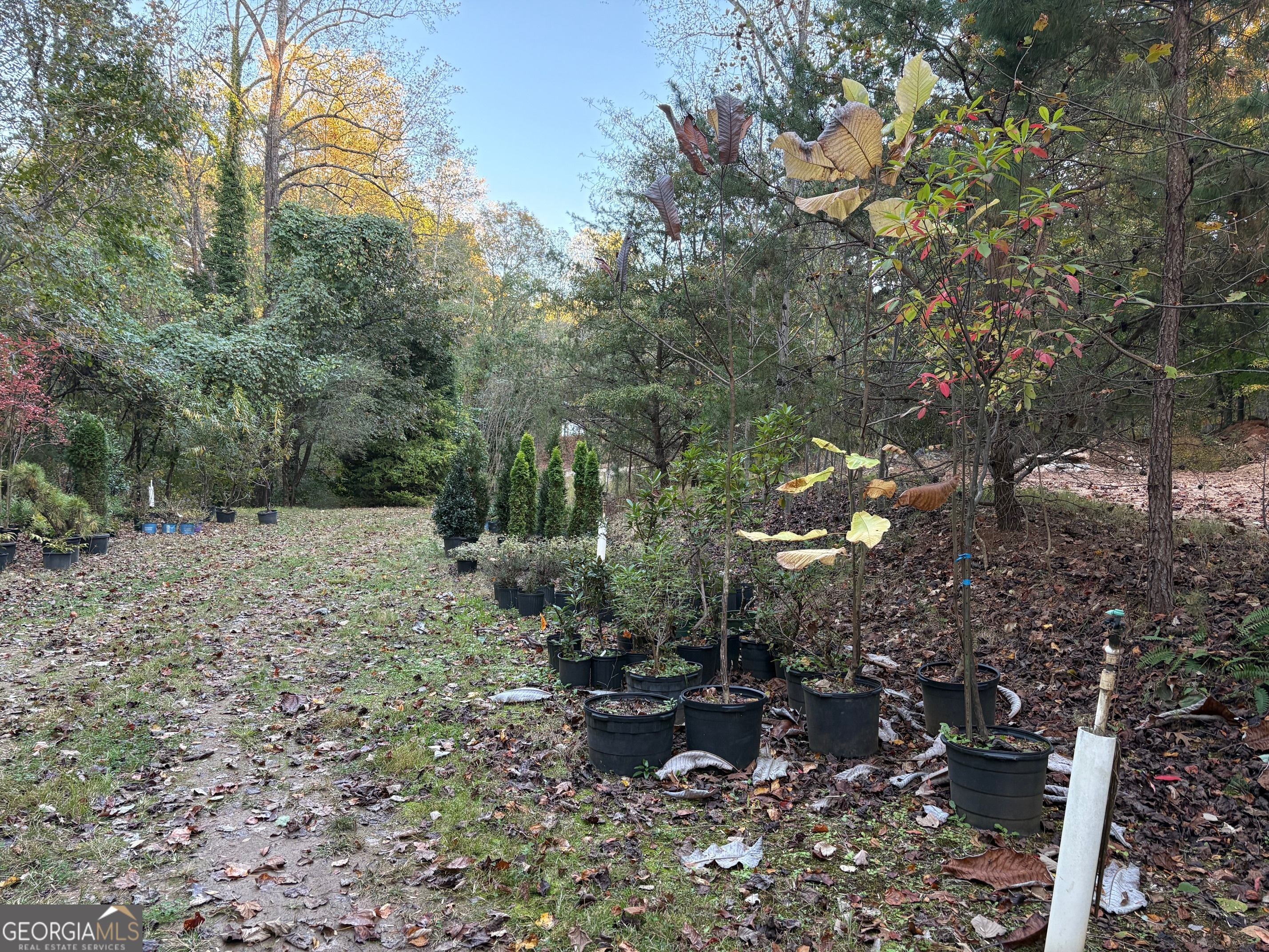 4920 Cagle Mill Road Lula, GA 30554 - Photo 6 of 10 a view of a backyard of the house
