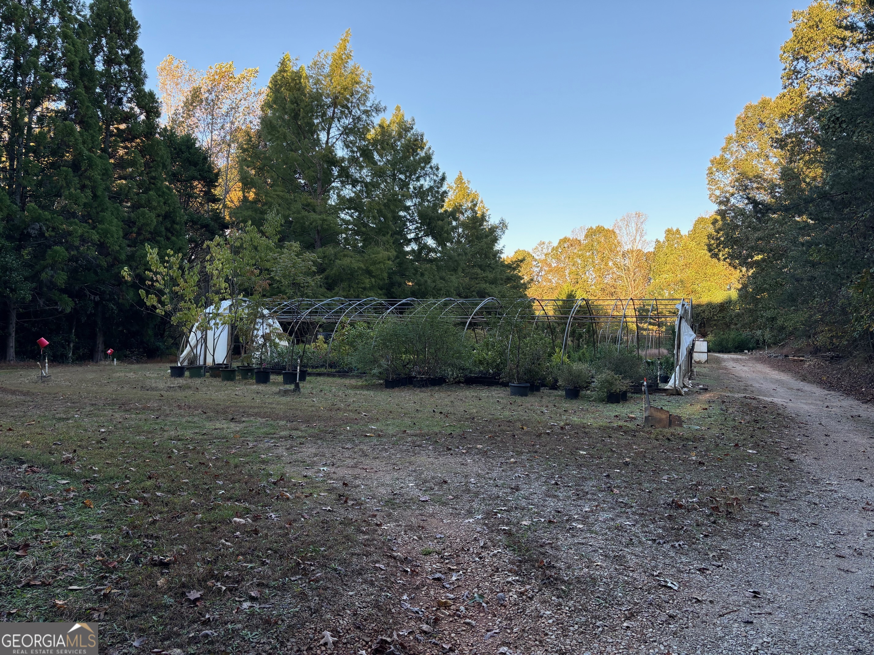 4920 Cagle Mill Road Lula, GA 30554 - Photo 7 of 10 a view of a park with large trees