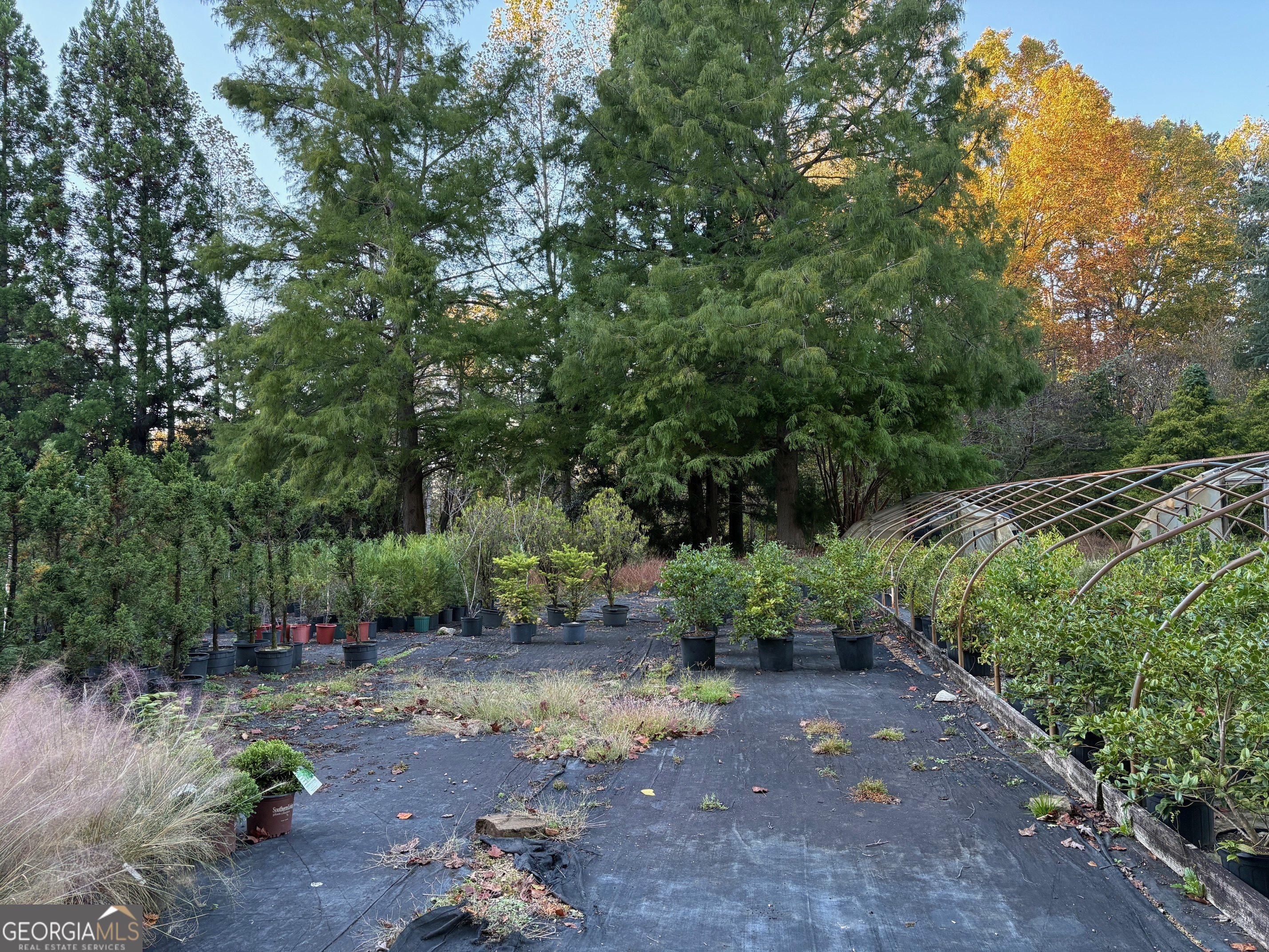 4920 Cagle Mill Road Lula, GA 30554 - Photo 8 of 10 a view of backyard with green space