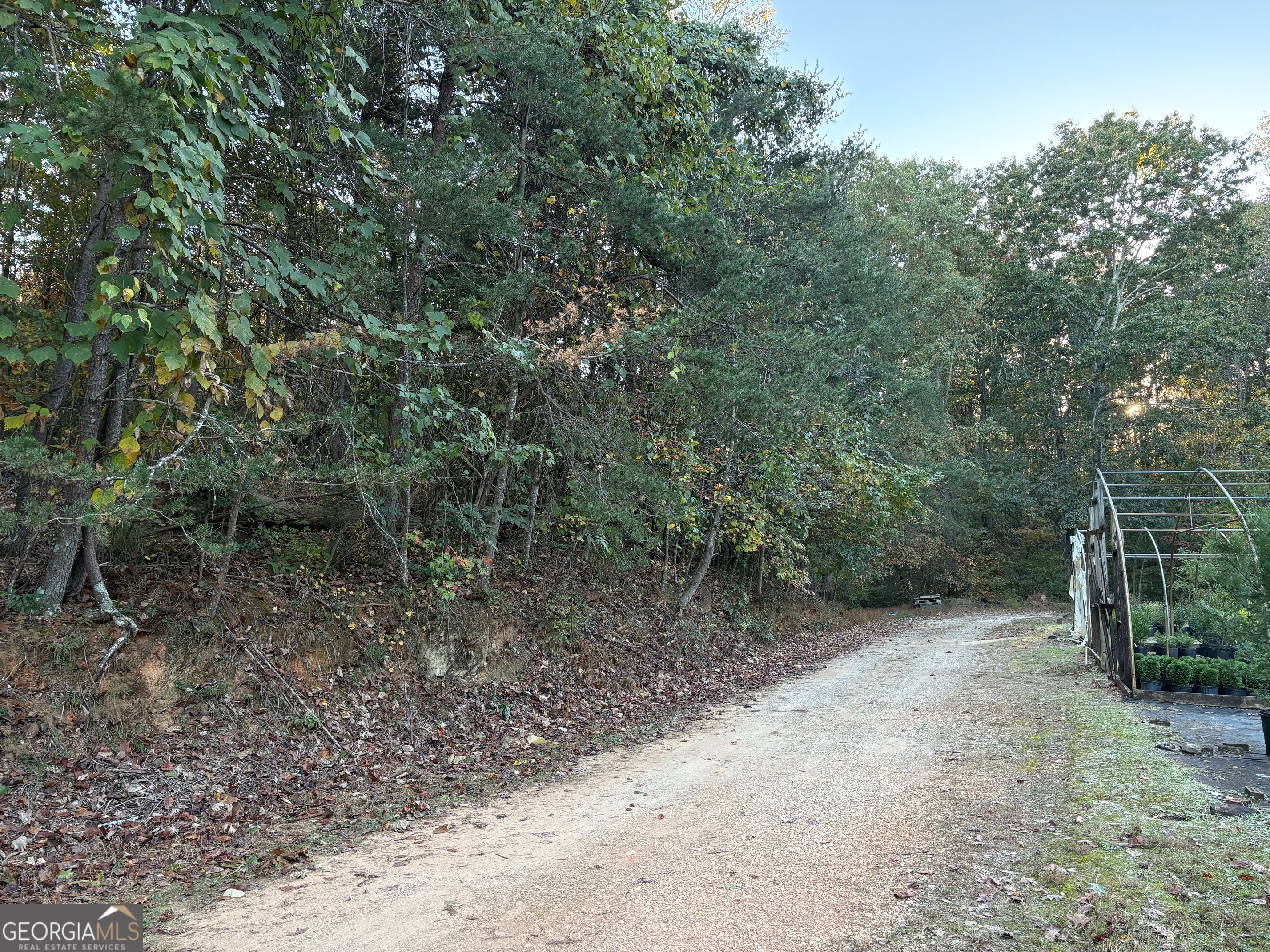 4920 Cagle Mill Road Lula, GA 30554 - Photo 9 of 10 a view of a forest with trees in the background