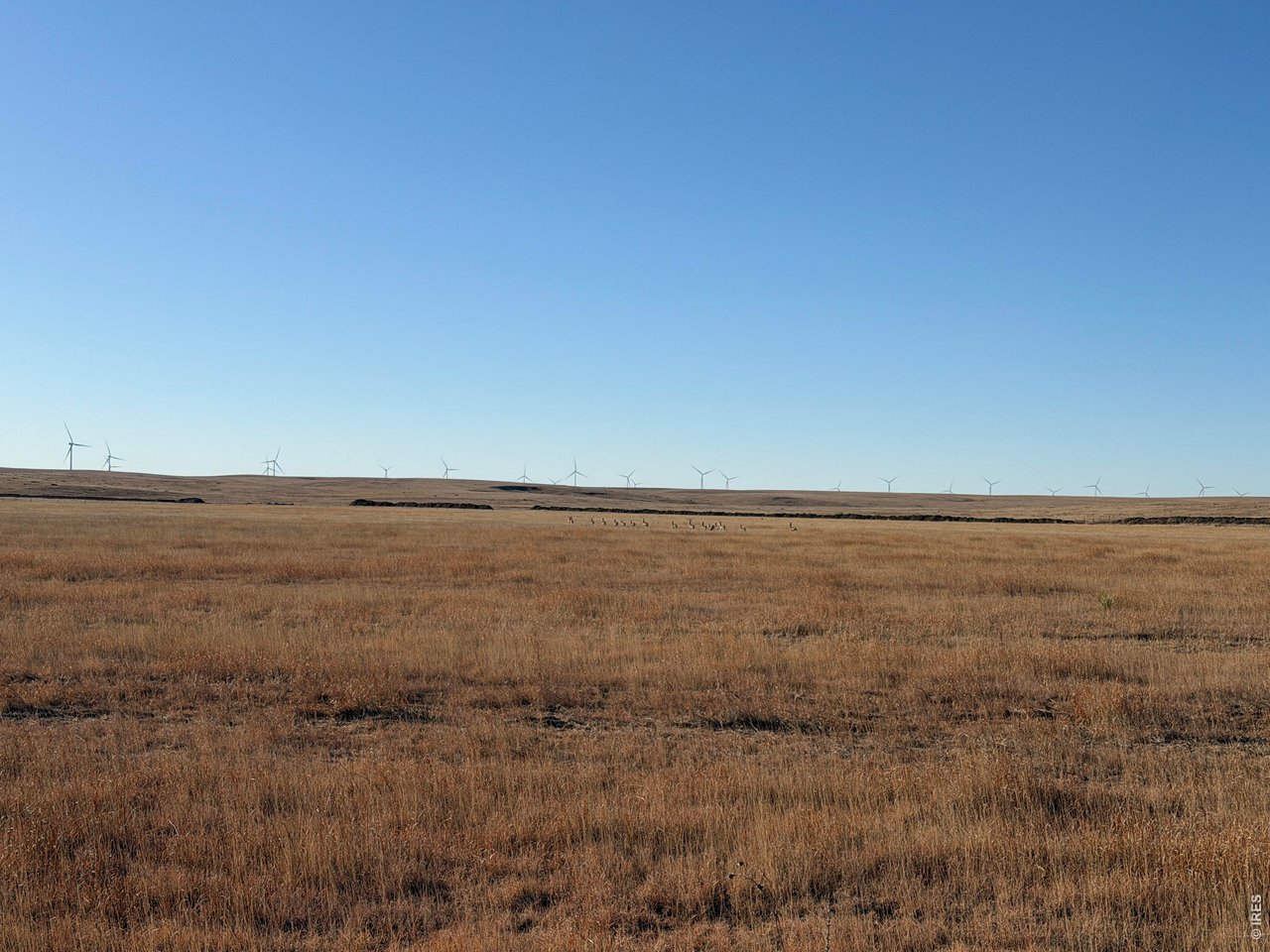 43 Dd Road Bethune, CO 80805 - Photo 11 of 33