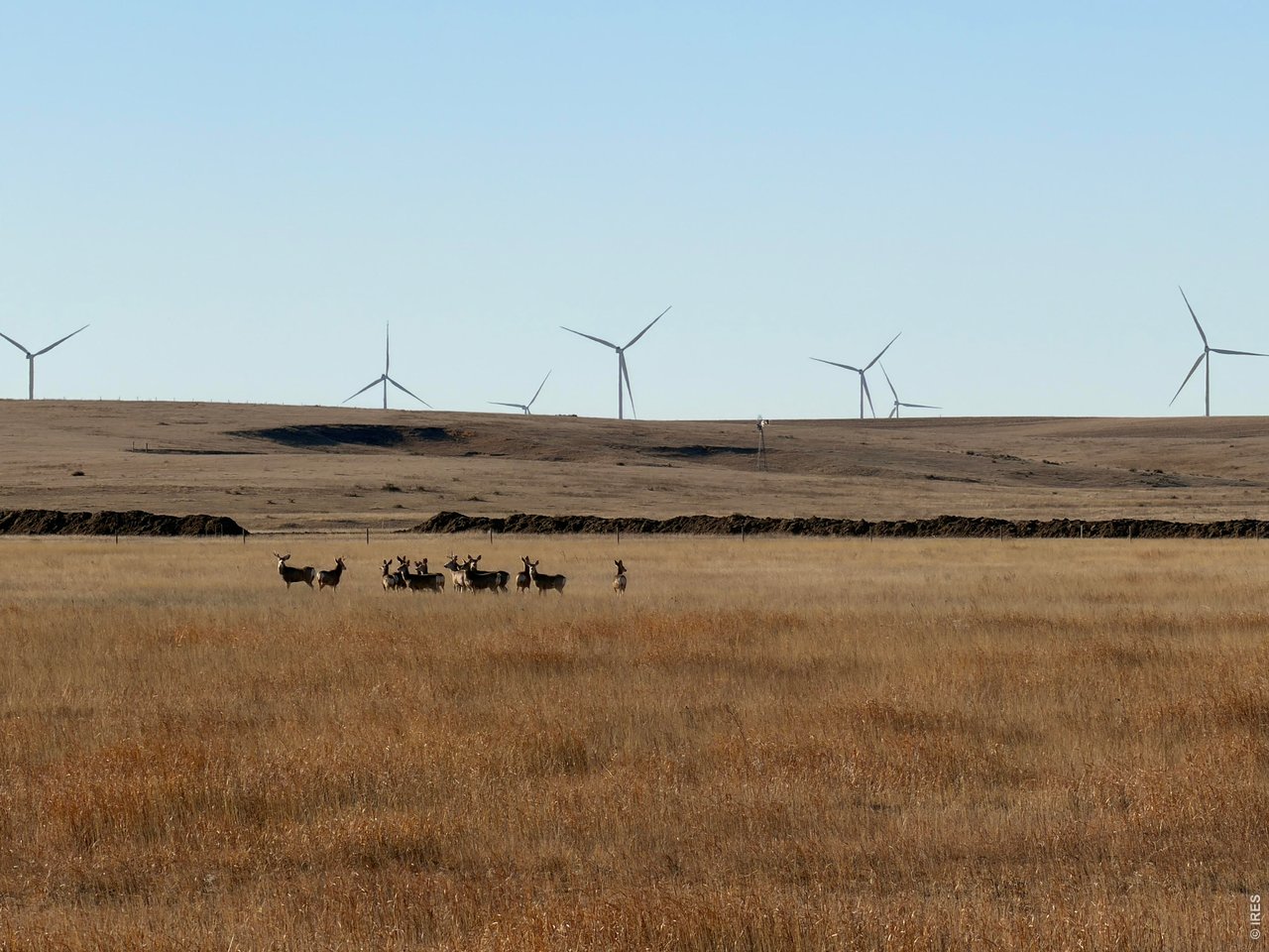 43 Dd Road Bethune, CO 80805 - Photo 12 of 33