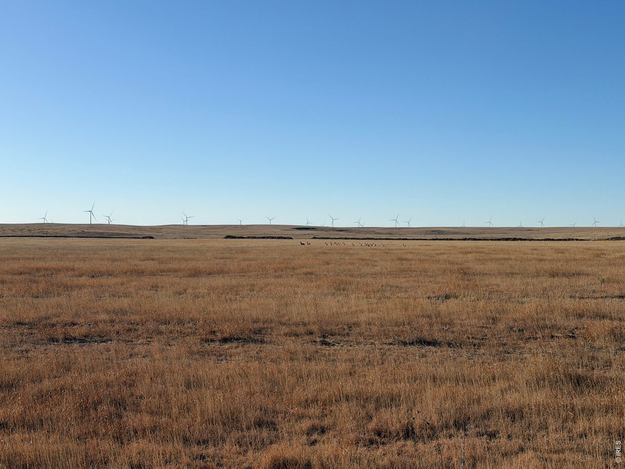 43 Dd Road Bethune, CO 80805 - Photo 13 of 33