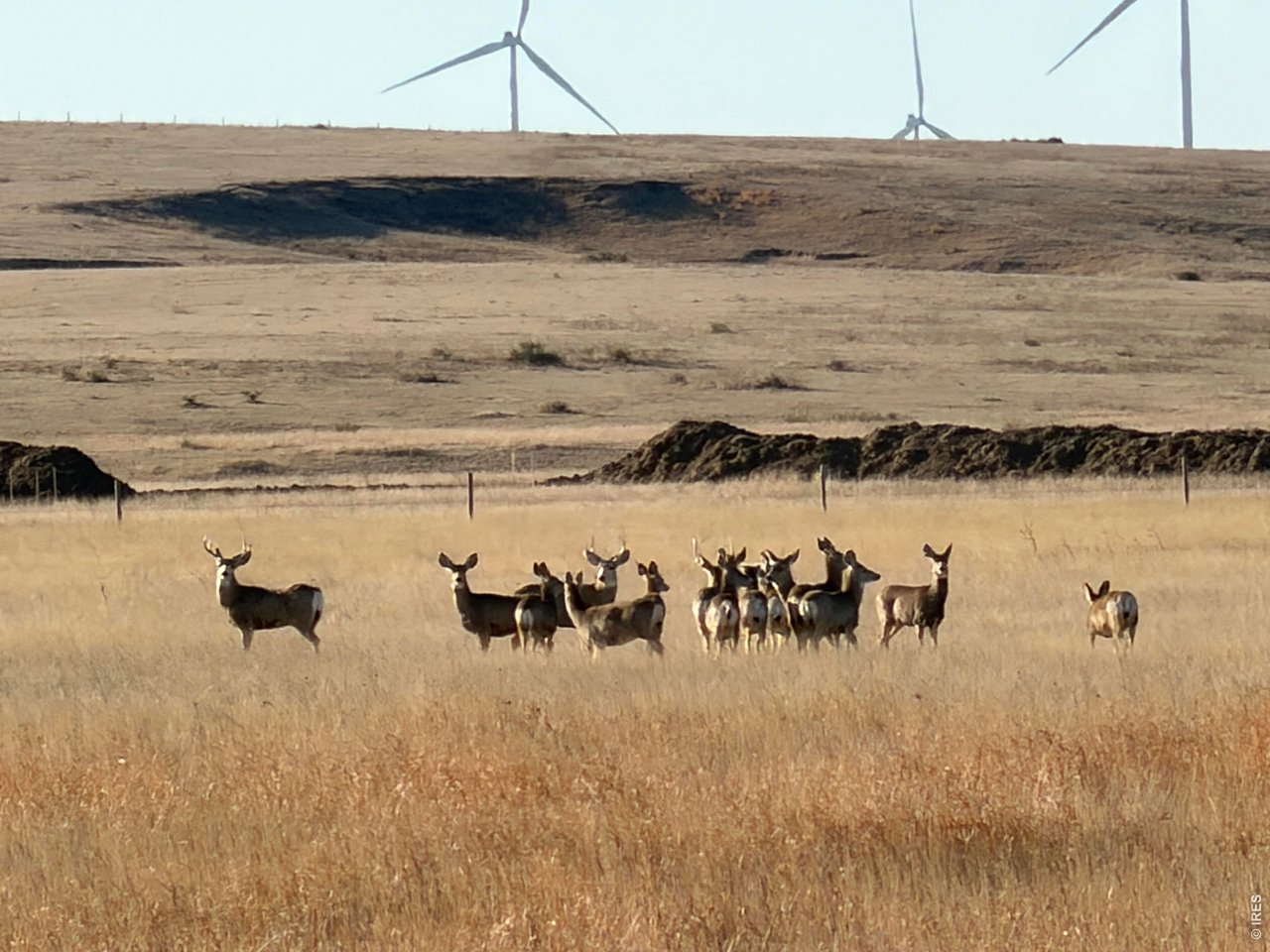 43 Dd Road Bethune, CO 80805 - Photo 14 of 33