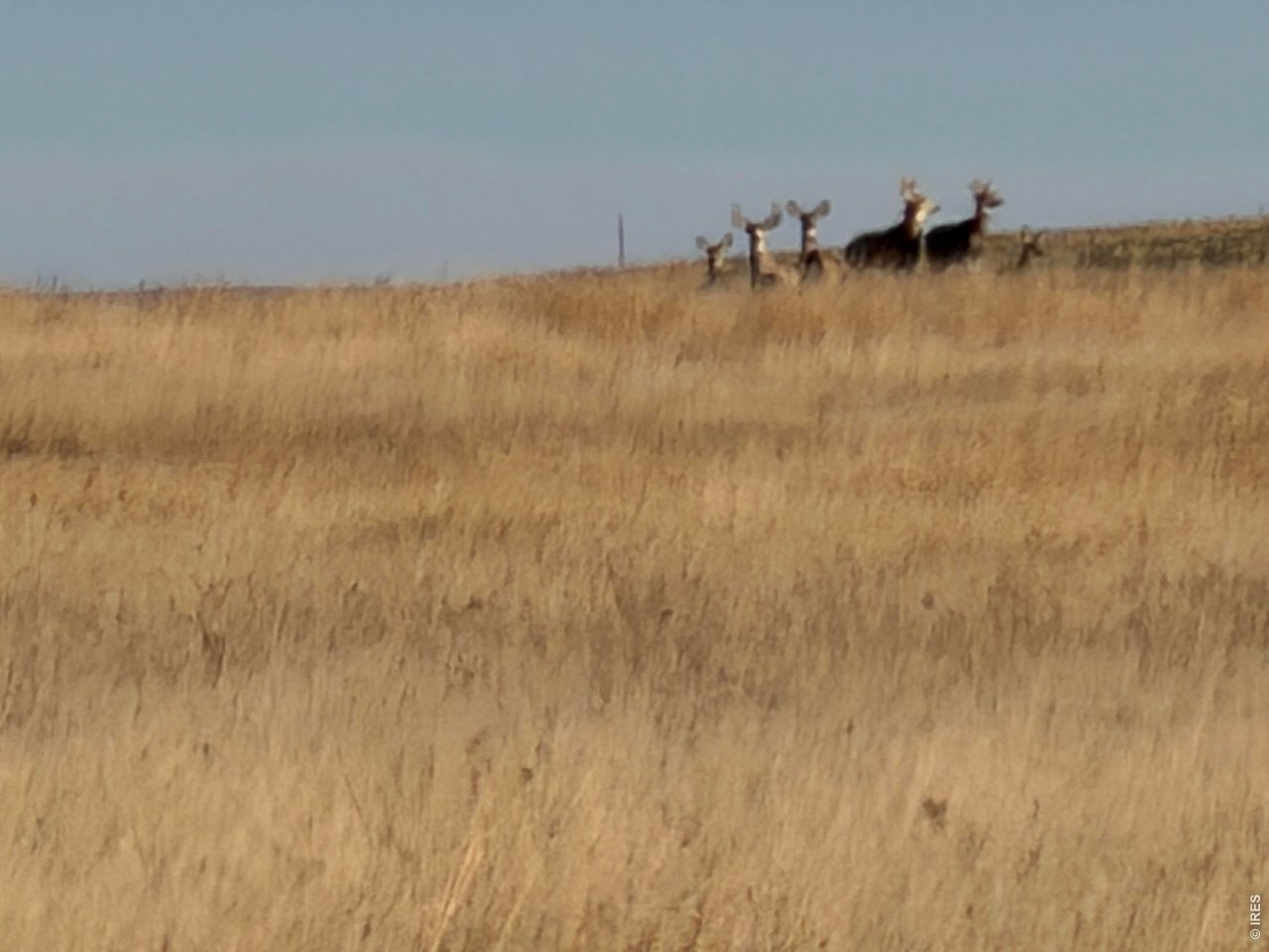 43 Dd Road Bethune, CO 80805 - Photo 2 of 33