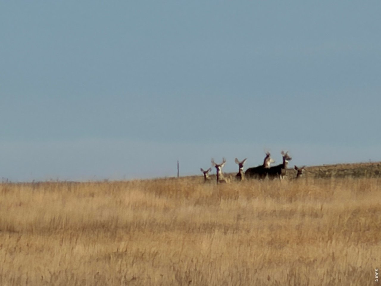 43 Dd Road Bethune, CO 80805 - Photo 3 of 33