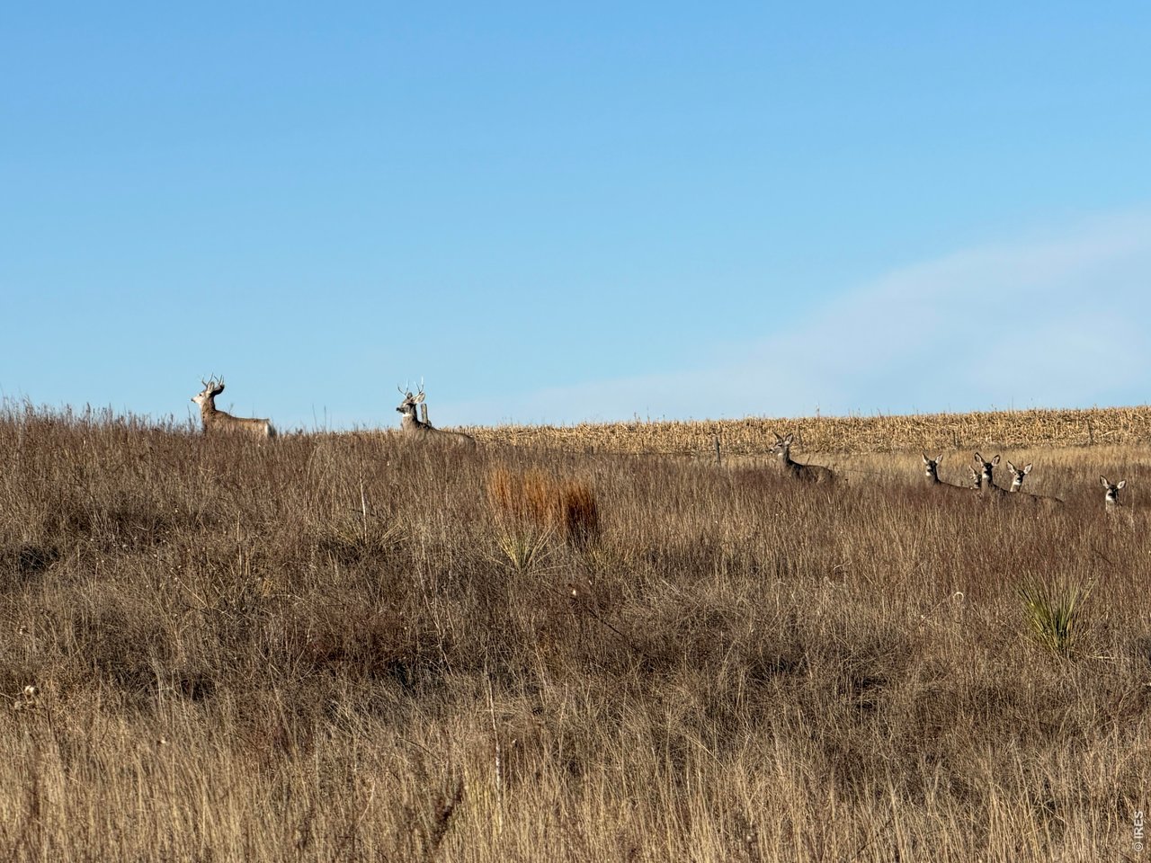 43 Dd Road Bethune, CO 80805 - Photo 6 of 33