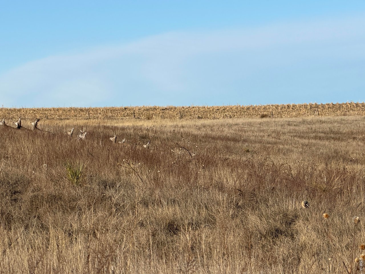 43 Dd Road Bethune, CO 80805 - Photo 9 of 33