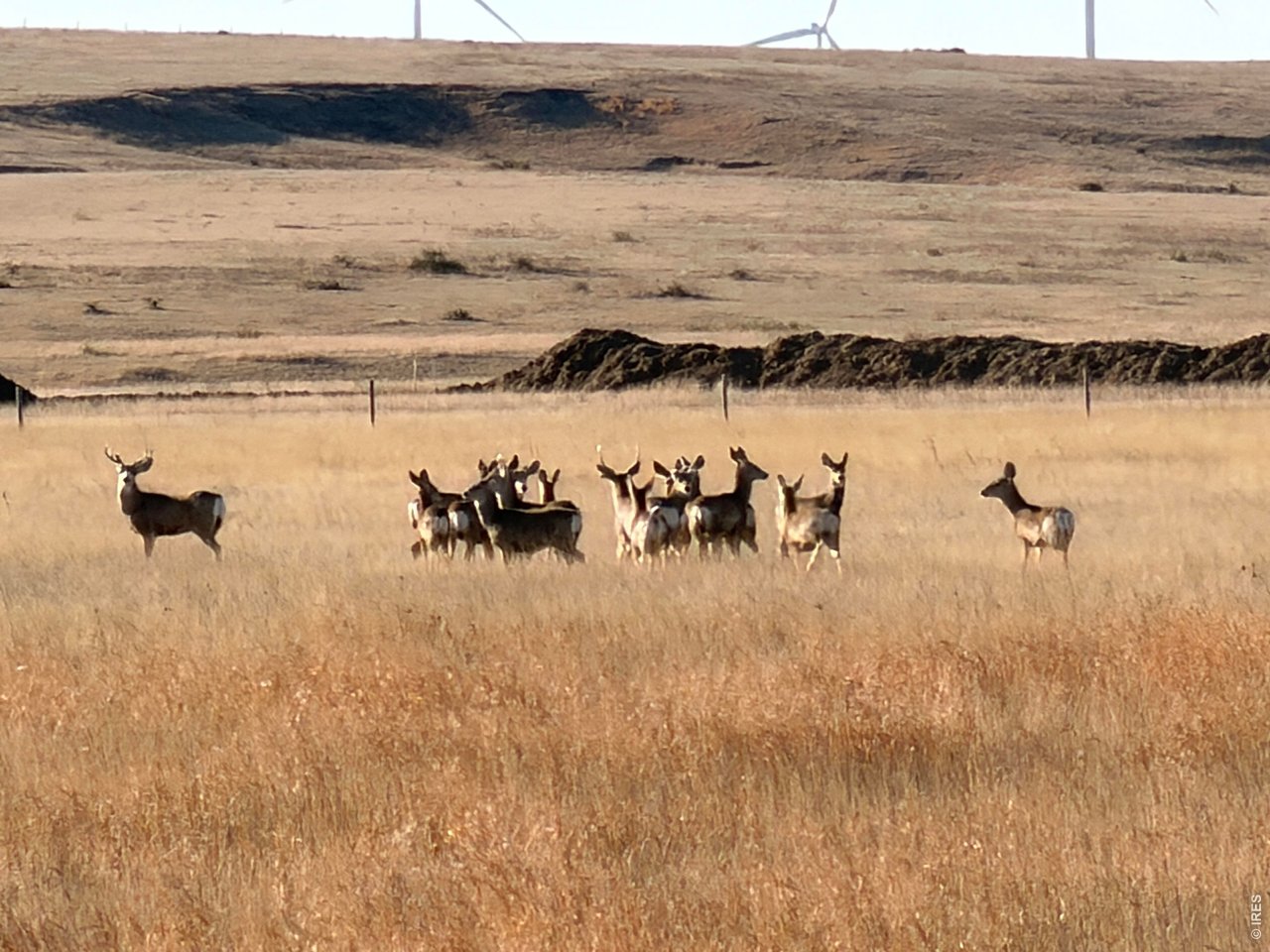 43 Dd Road Bethune, CO 80805 - Photo 10 of 33