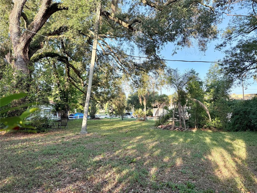 304 Springdale Place Temple Terrace, FL 33617 - Photo 4 of 7