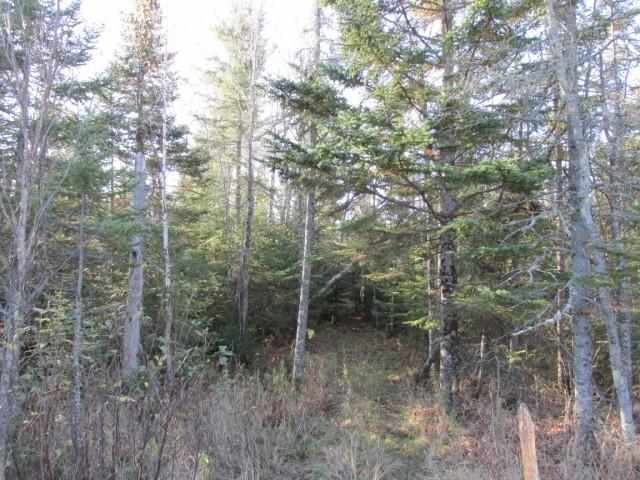 1500 West Knife River Road Two Harbors, MN 55616 - Photo 1 of 9 Gallery Image 1
