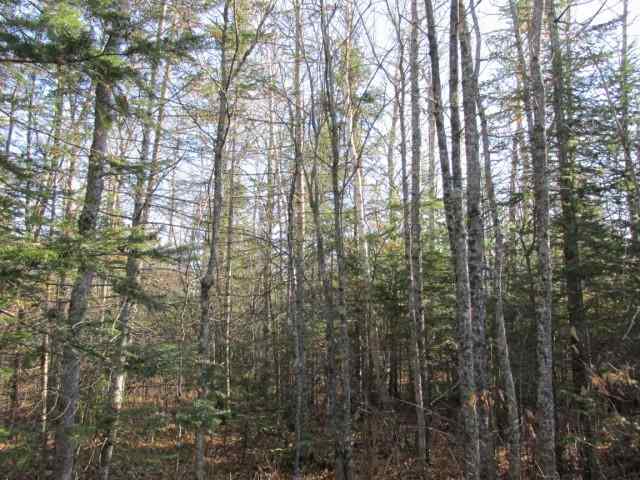 1500 West Knife River Road Two Harbors, MN 55616 - Photo 3 of 9 Gallery Image 3