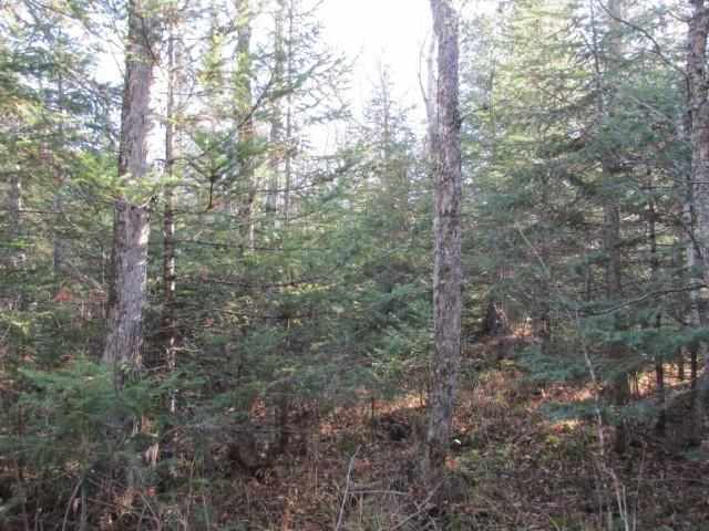1500 West Knife River Road Two Harbors, MN 55616 - Photo 7 of 9 Gallery Image 7