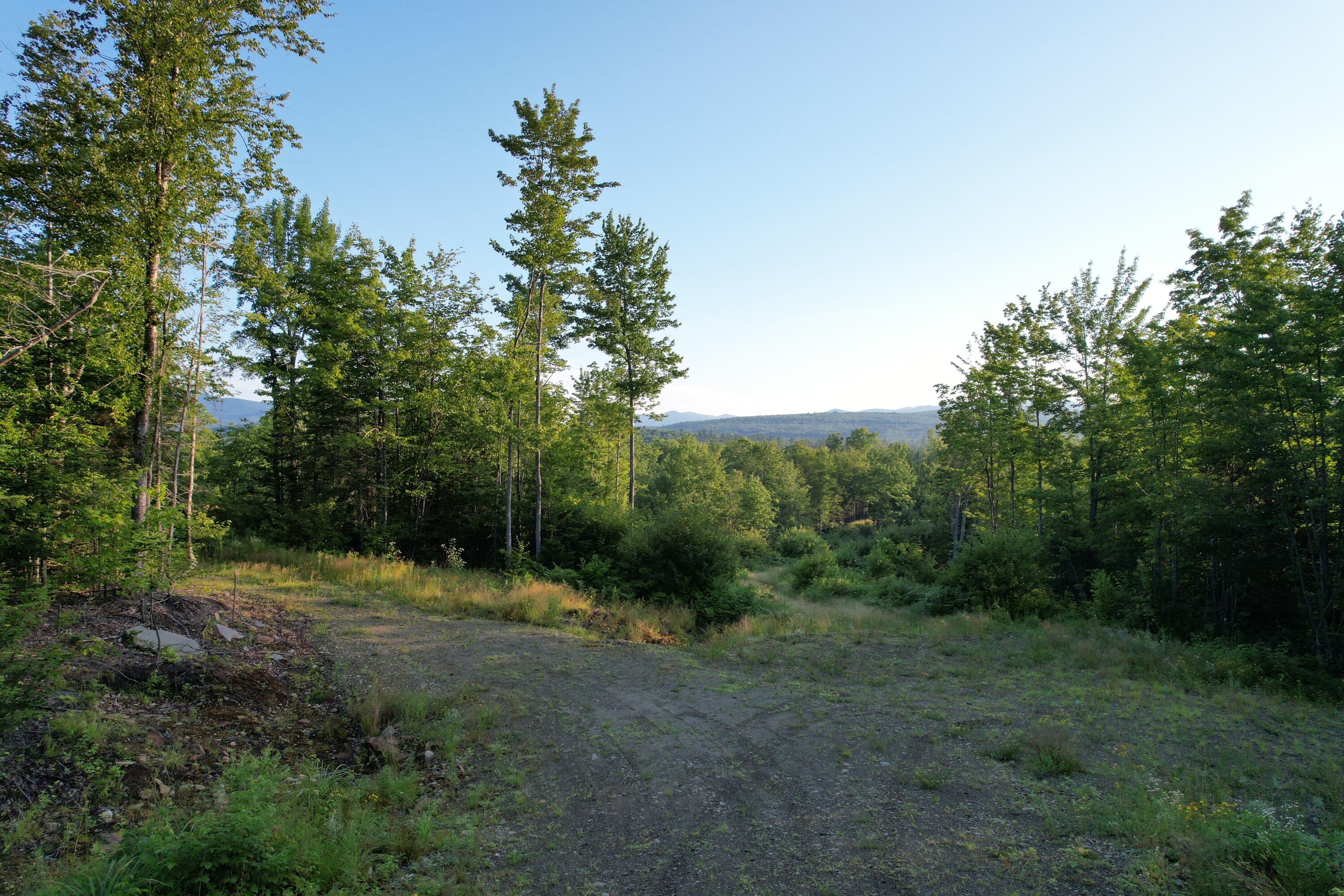 Lot #4 Woods Road Phillips, ME 04966 - Photo 11 of 27 Lot #4 (2)