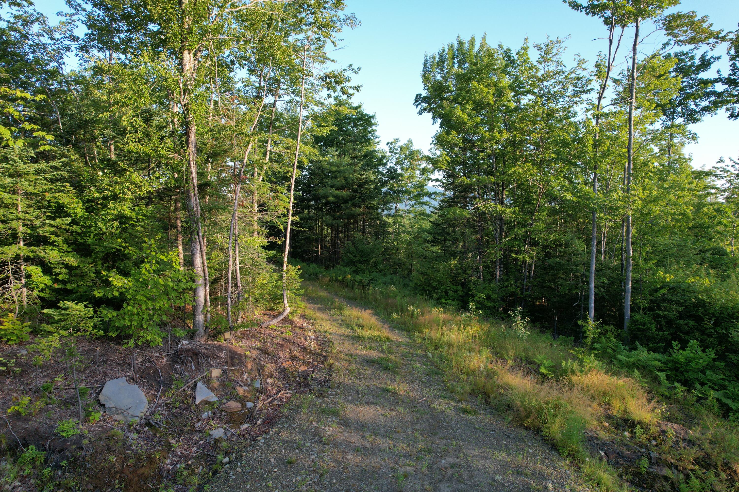 Lot #4 Woods Road Phillips, ME 04966 - Photo 12 of 27 Lot #4 (3)