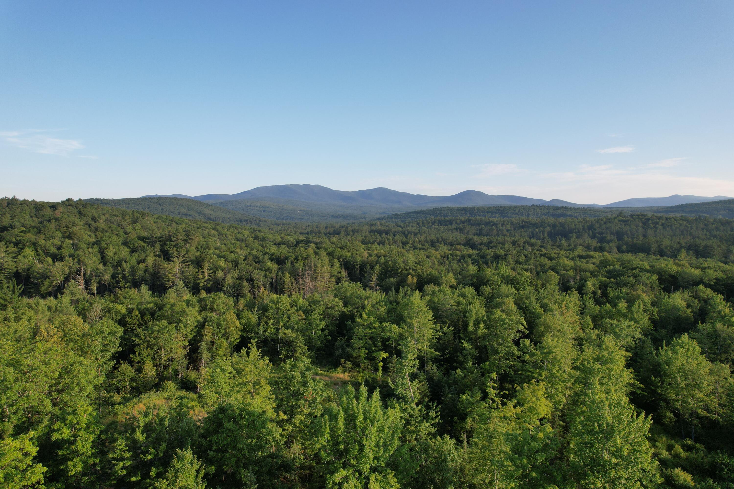 Lot #4 Woods Road Phillips, ME 04966 - Photo 14 of 27 Lot #4 (5)