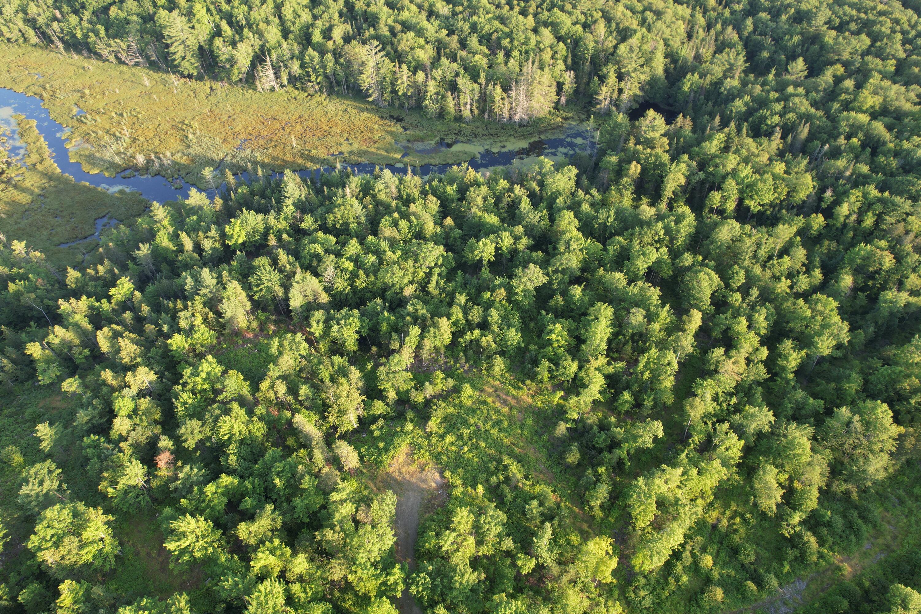 Lot #4 Woods Road Phillips, ME 04966 - Photo 16 of 27 Lot #4 (7)