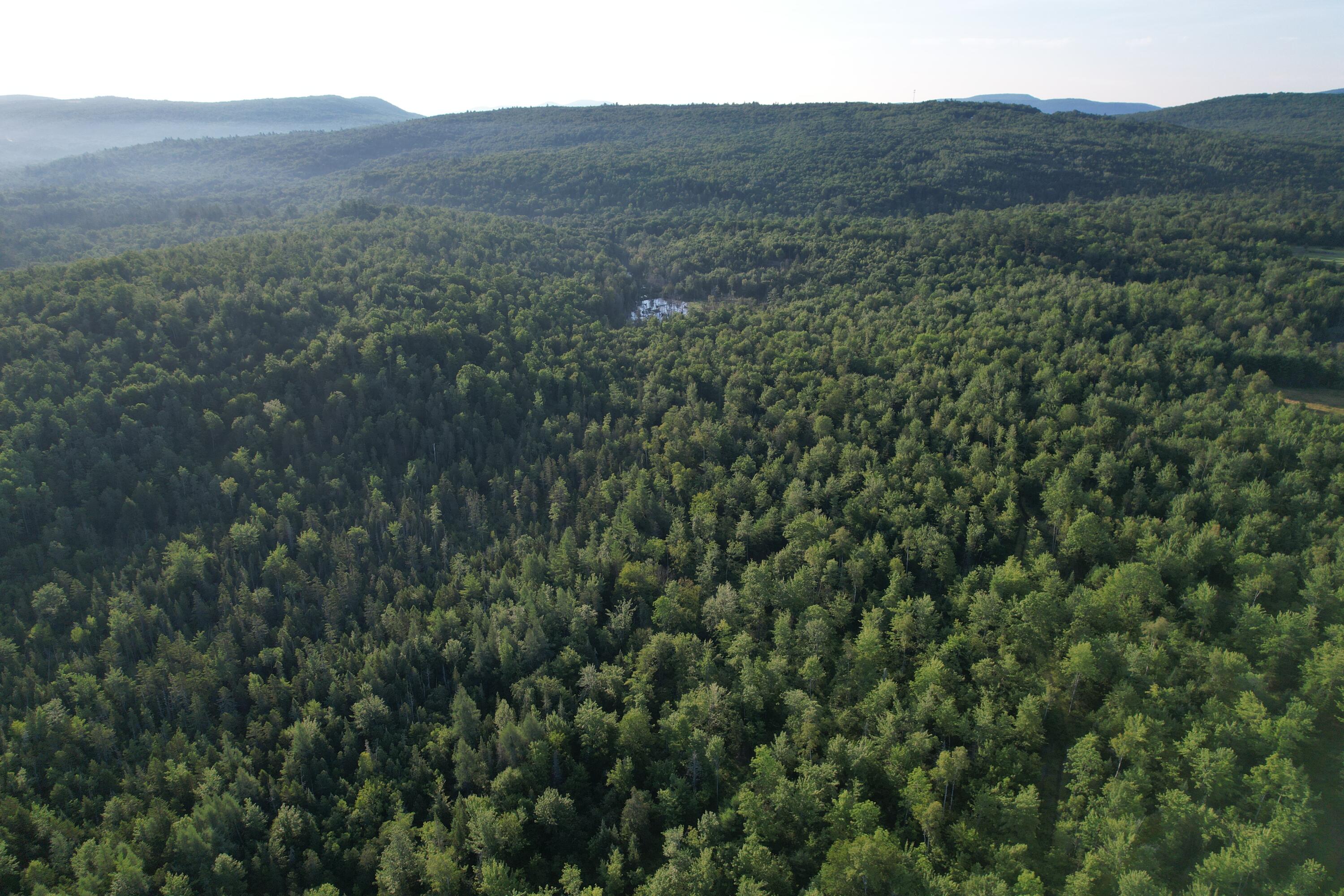 Lot #4 Woods Road Phillips, ME 04966 - Photo 20 of 27 Lot #4 (14)