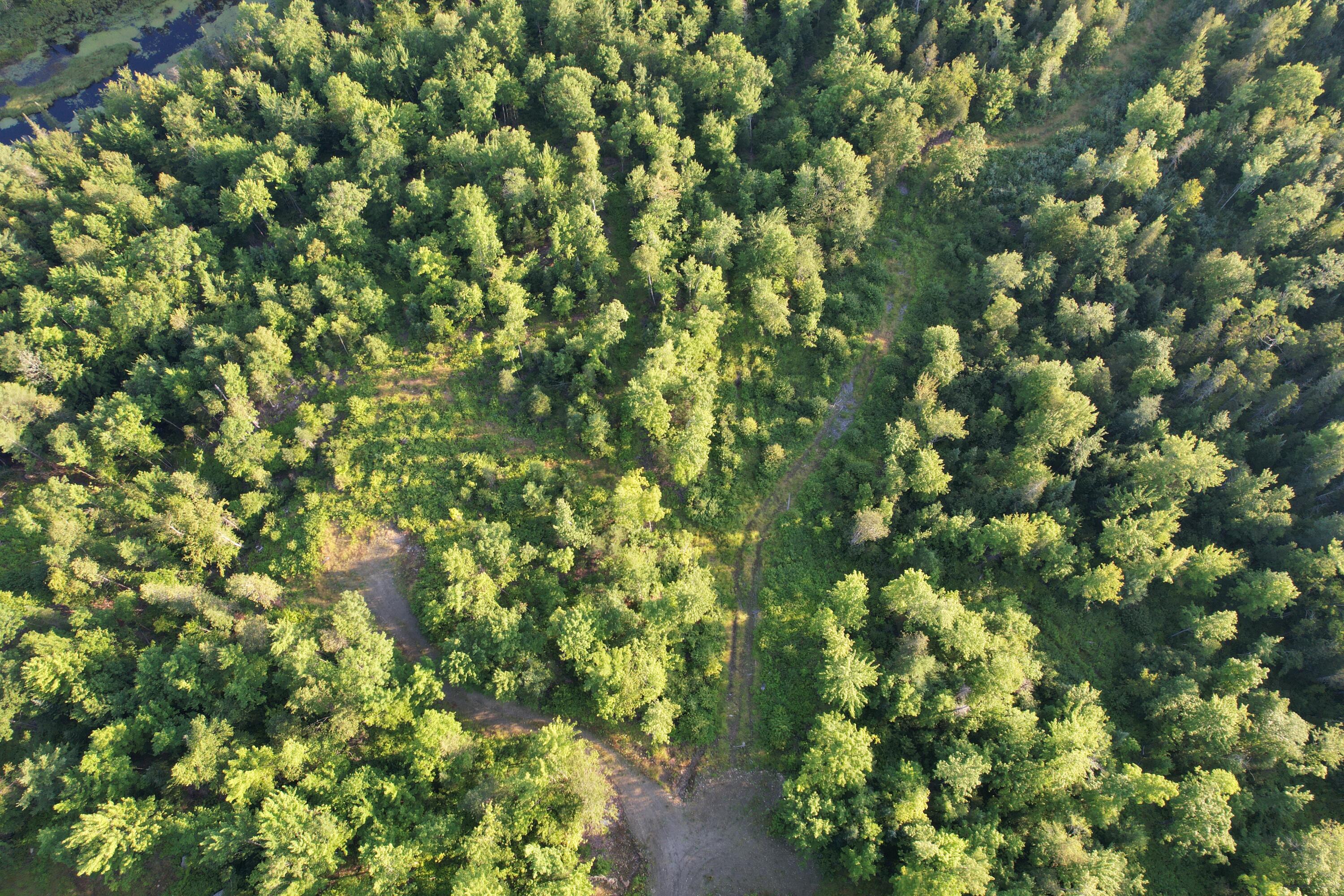 Lot #4 Woods Road Phillips, ME 04966 - Photo 24 of 27 Lot #4 (19)