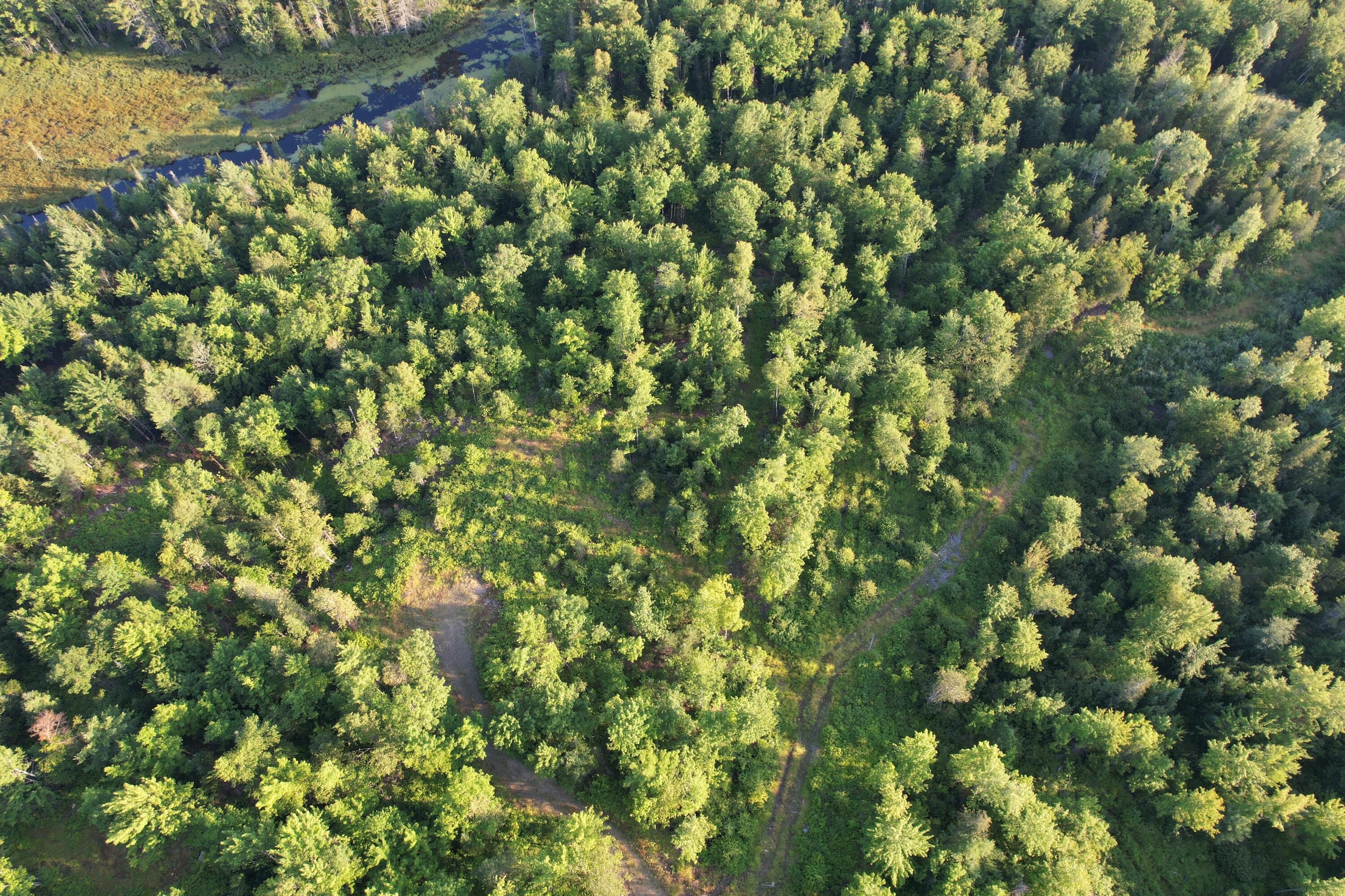 Lot #4 Woods Road Phillips, ME 04966 - Photo 25 of 27 Lot #4 (20)