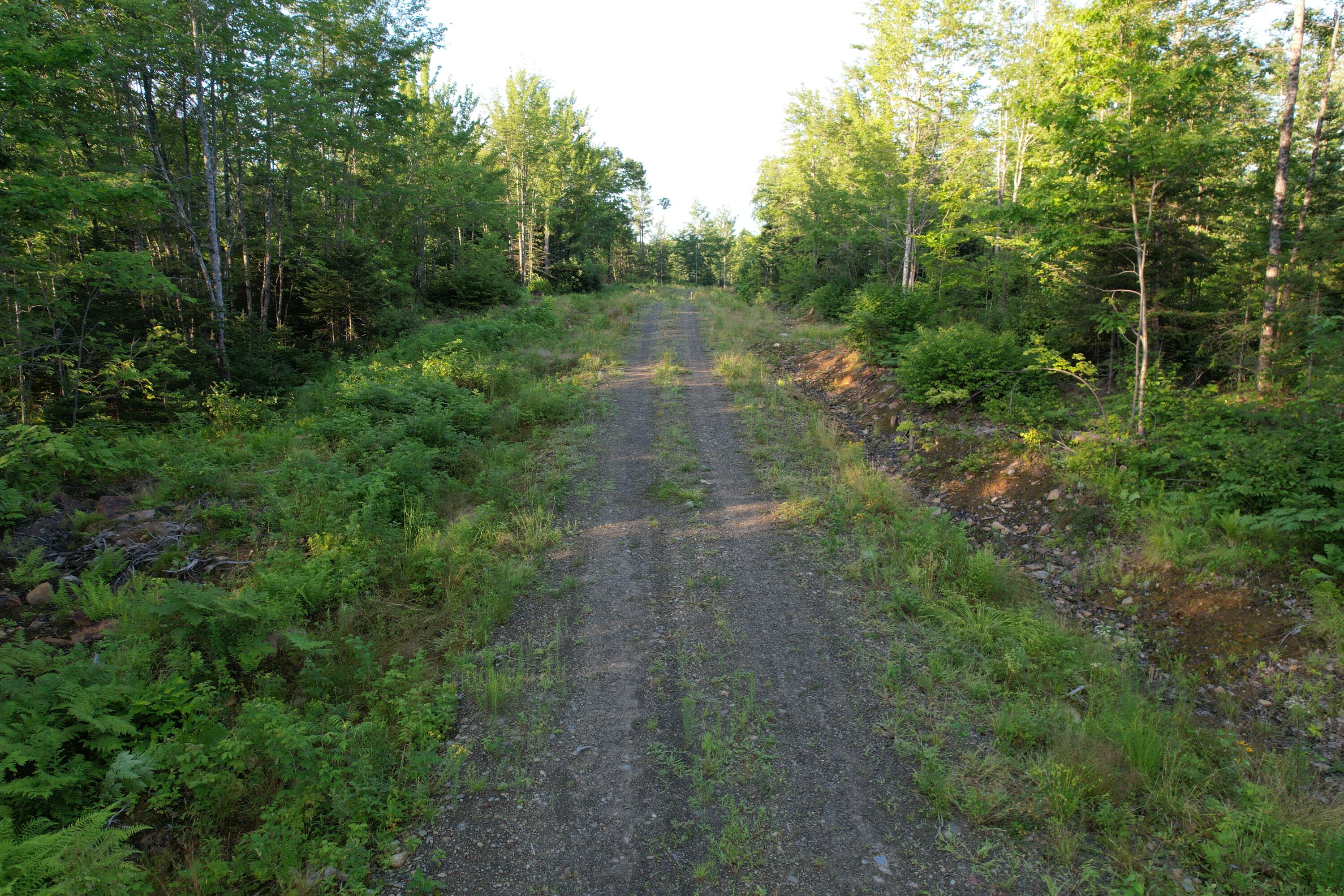Lot #4 Woods Road Phillips, ME 04966 - Photo 26 of 27 Lot #4 (21)