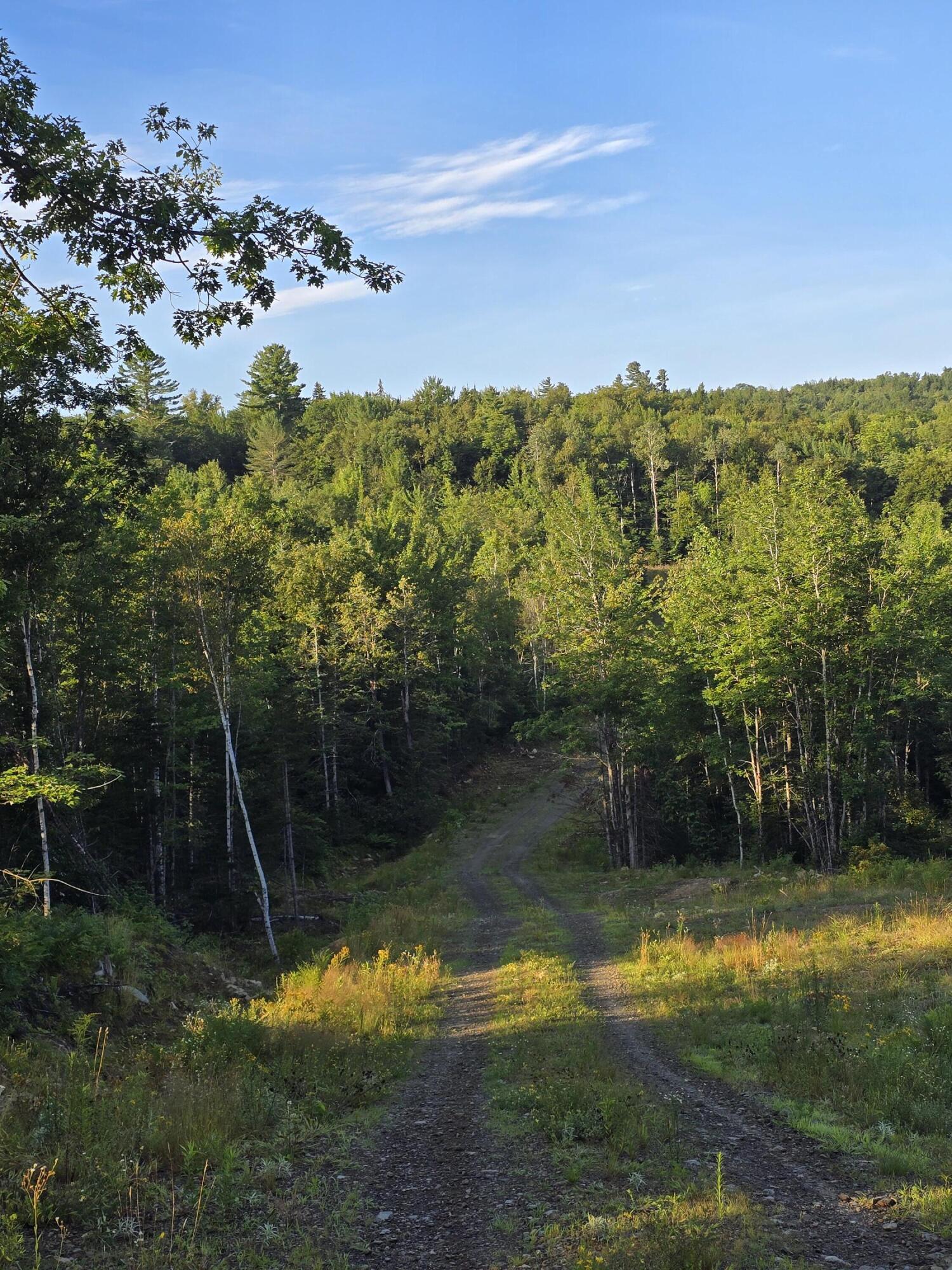 Lot #4 Woods Road Phillips, ME 04966 - Photo 27 of 27 road in