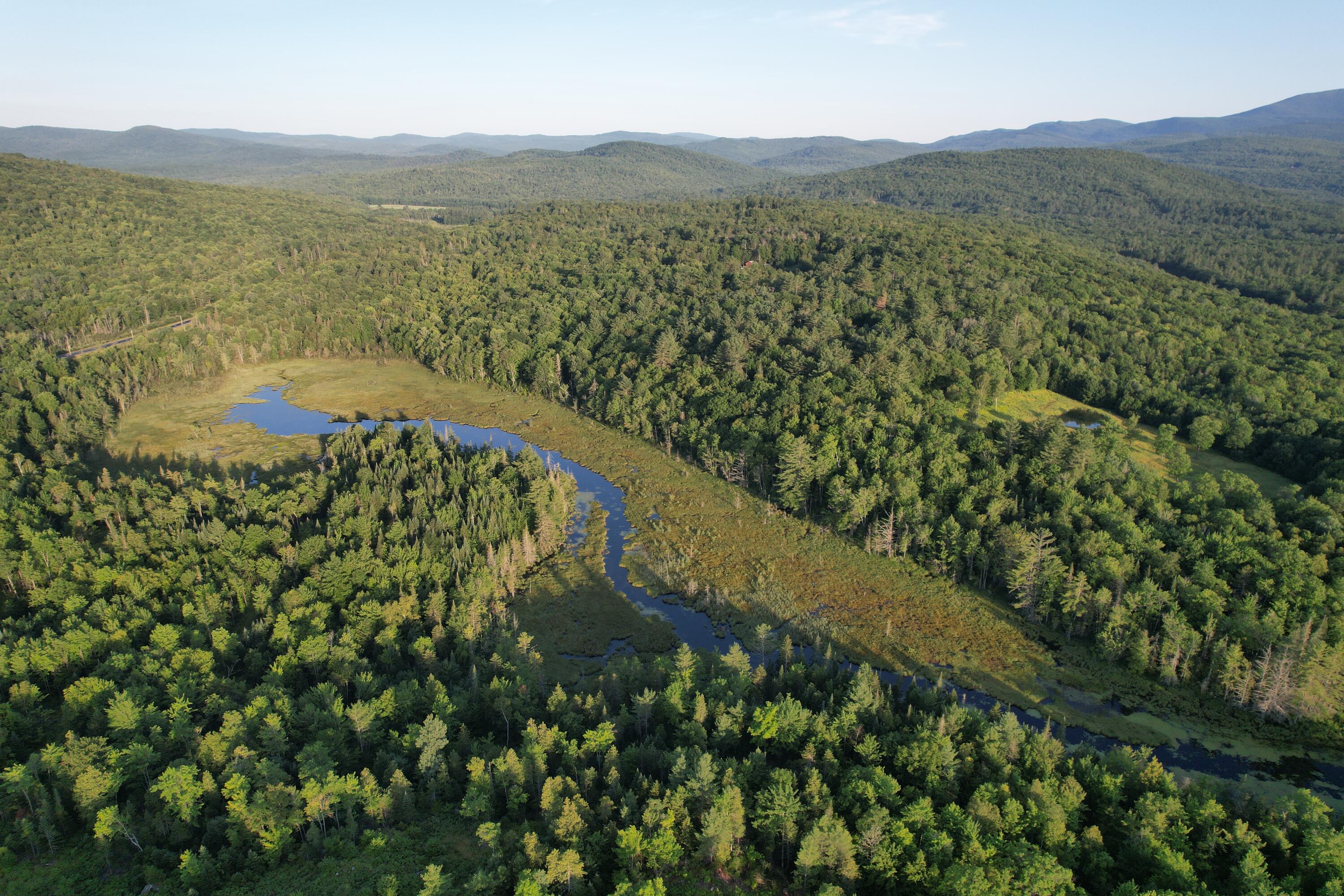 Lot #4 Woods Road Phillips, ME 04966 - Photo 3 of 27 Lot #4 (9)