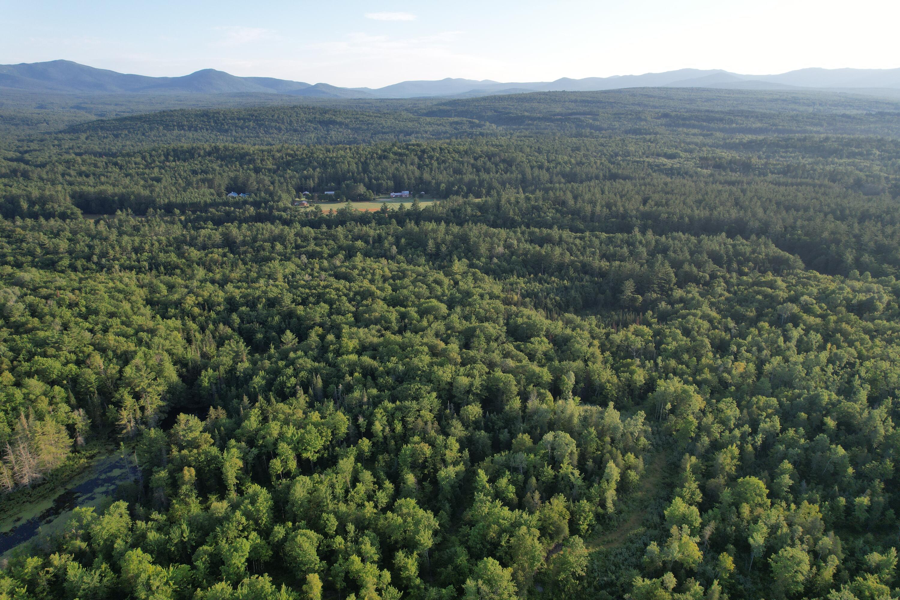 Lot #4 Woods Road Phillips, ME 04966 - Photo 4 of 27 Lot #4 (10)