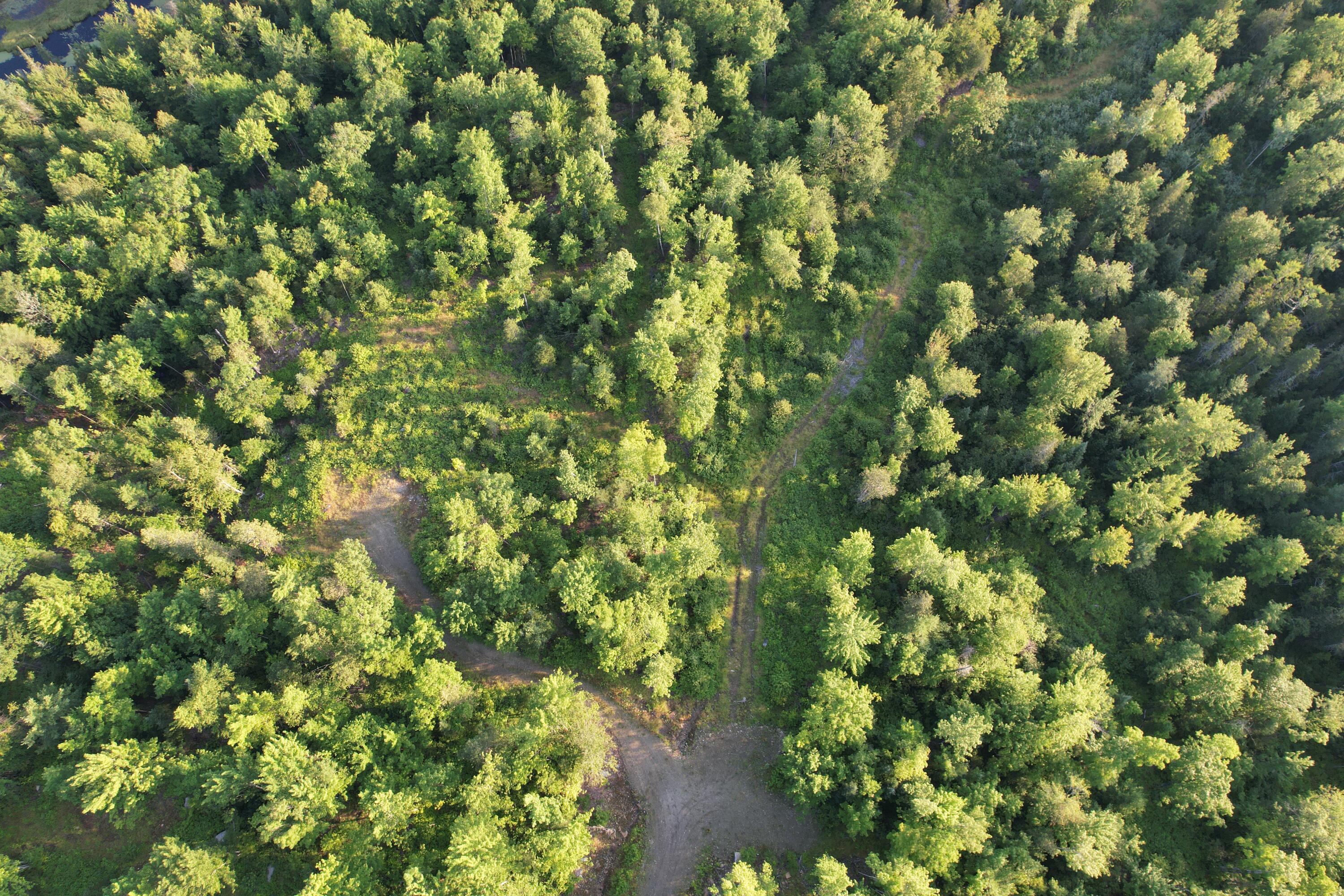 Lot #4 Woods Road Phillips, ME 04966 - Photo 5 of 27 Lot #4 (11)